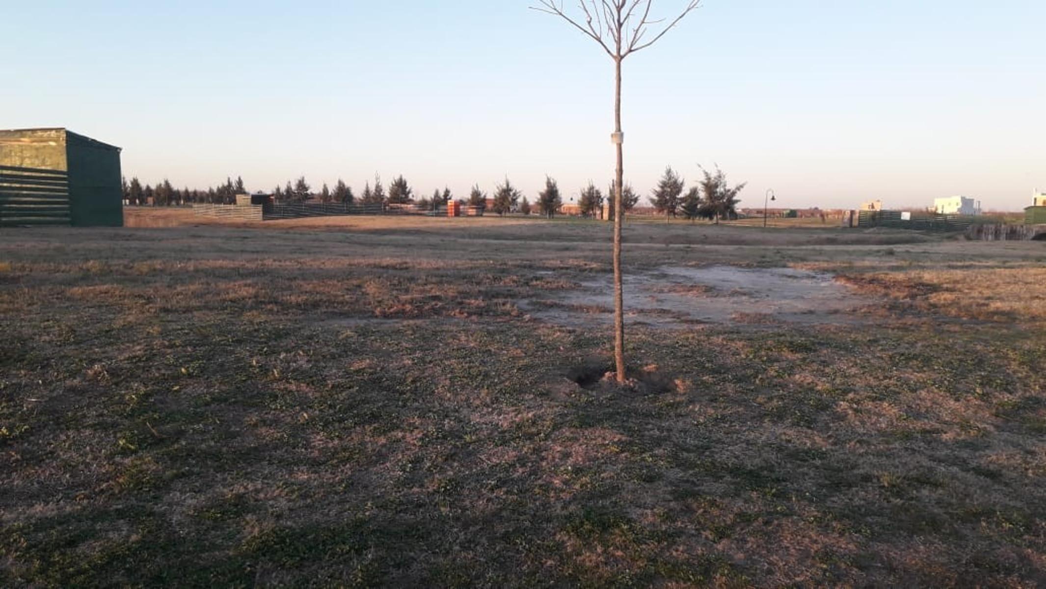 VaqueraPropiedades vende lote en barrio cerrado El Naudir de Escobar — foto 3