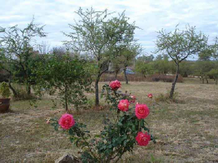 Terreno en Venta en Villa la Bolsa, Santa María, Córdoba — foto 3