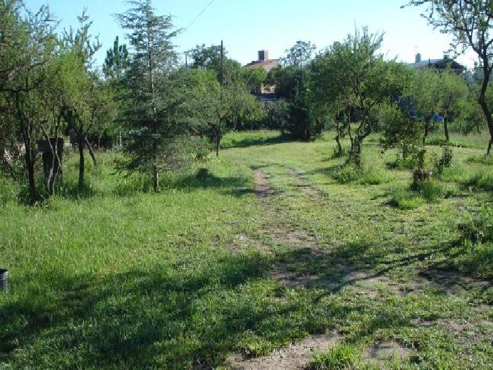 Terreno en Venta en Villa la Bolsa, Santa María, Córdoba — foto 4