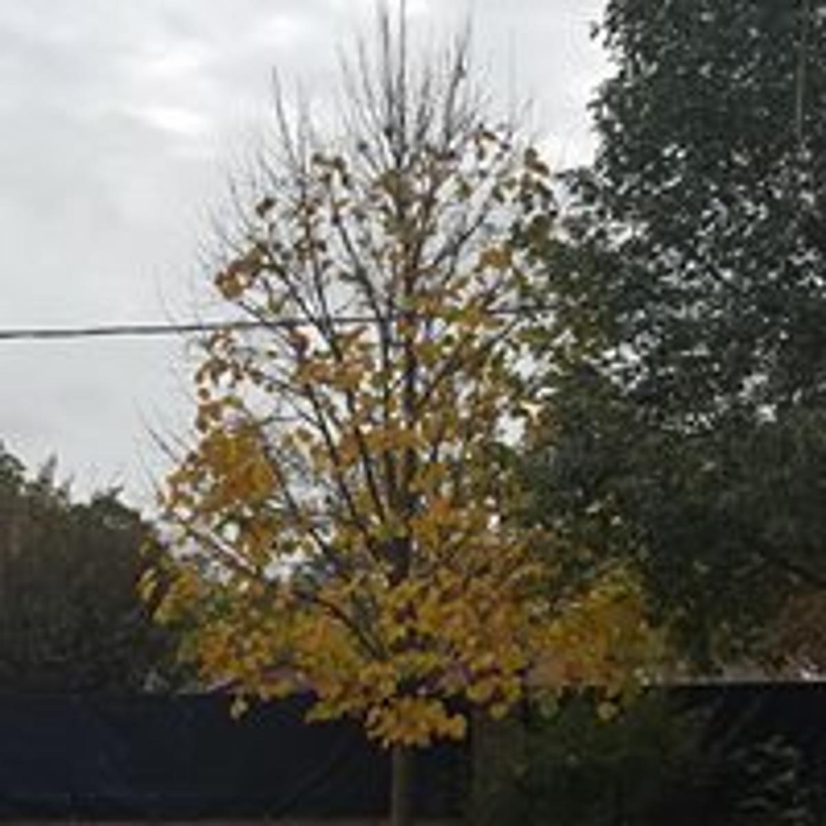 OPORTUNIDAD APTO CREDITO Hermosa casa en Funes (Garita 18). Zona recidencial (Ernesto Quesada y Gral Paz) — foto 6