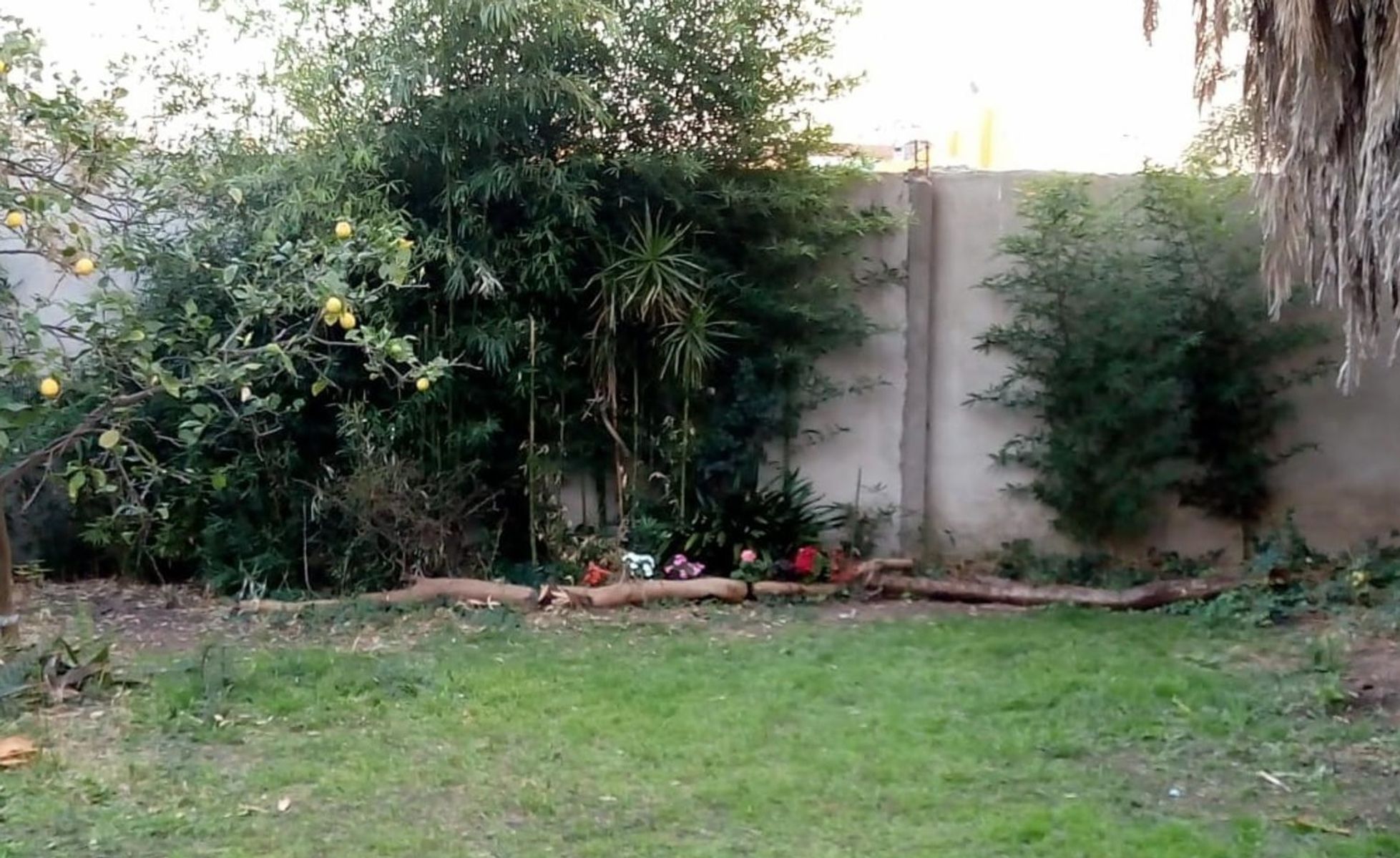 CASA EN VENTA-APTO CREDITO-VILLA LUZURIAGA - 7