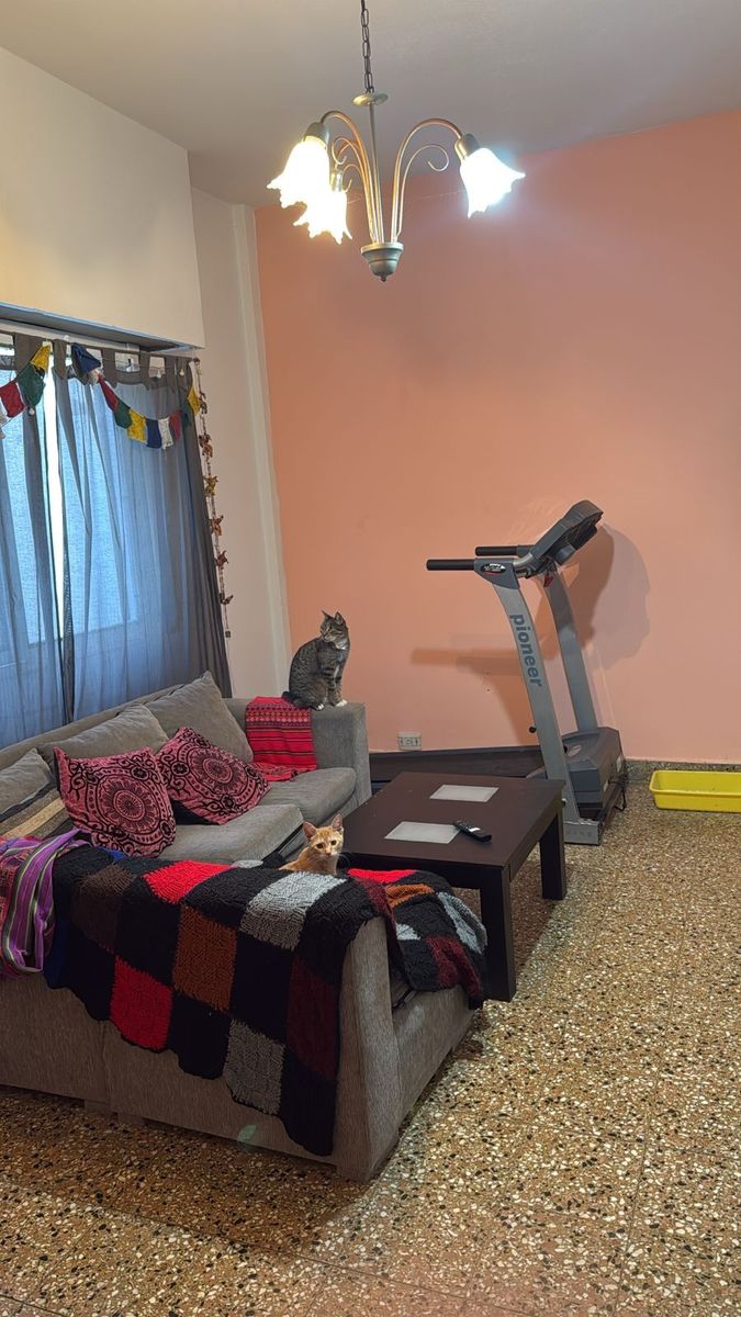 SE VENDE DEPARTAMENTO 3 AMBIENTES CON COCHERA Y TERRAZAPRIVADAENSANJUSTO CENTRO — foto 5