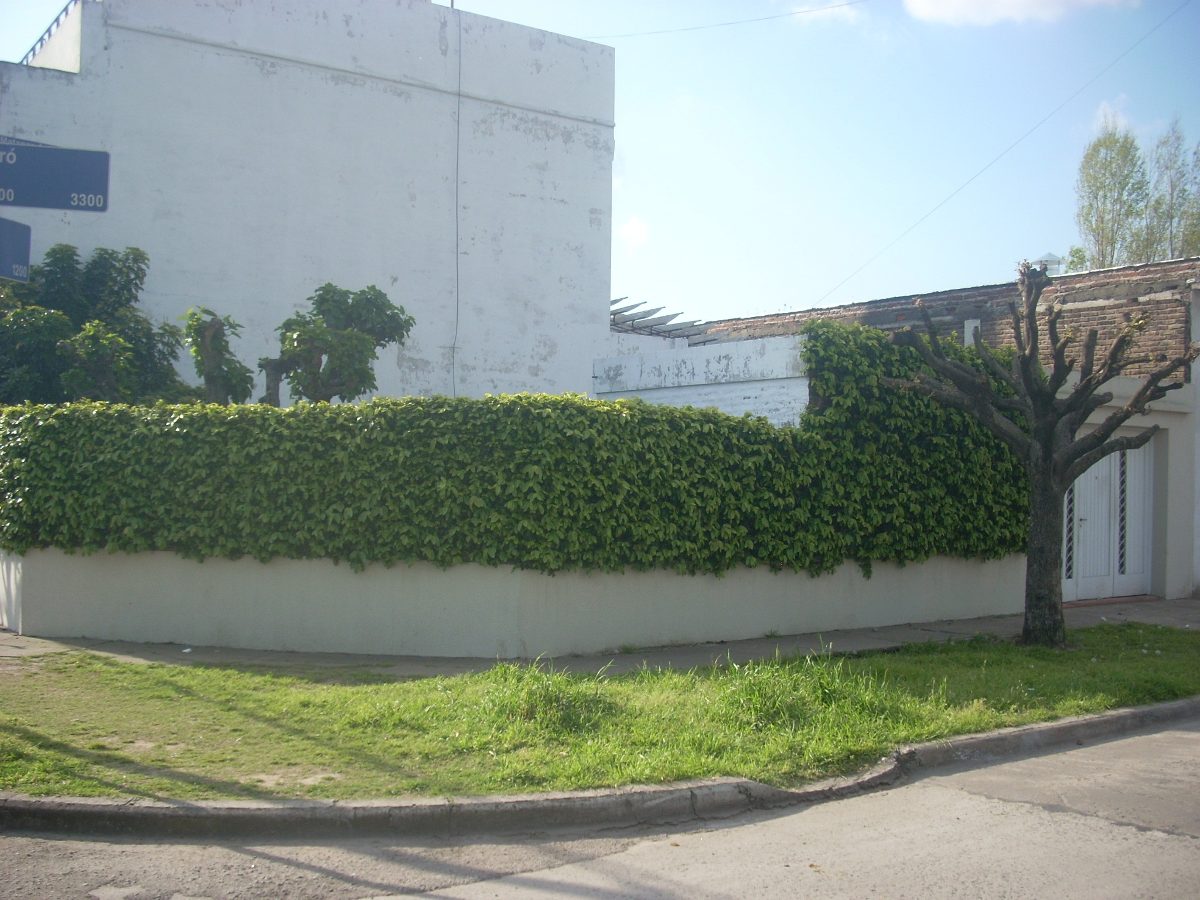 SE VENDE CASA 5 AMBIENTES EN VILLA LUZURIAGA — foto 2