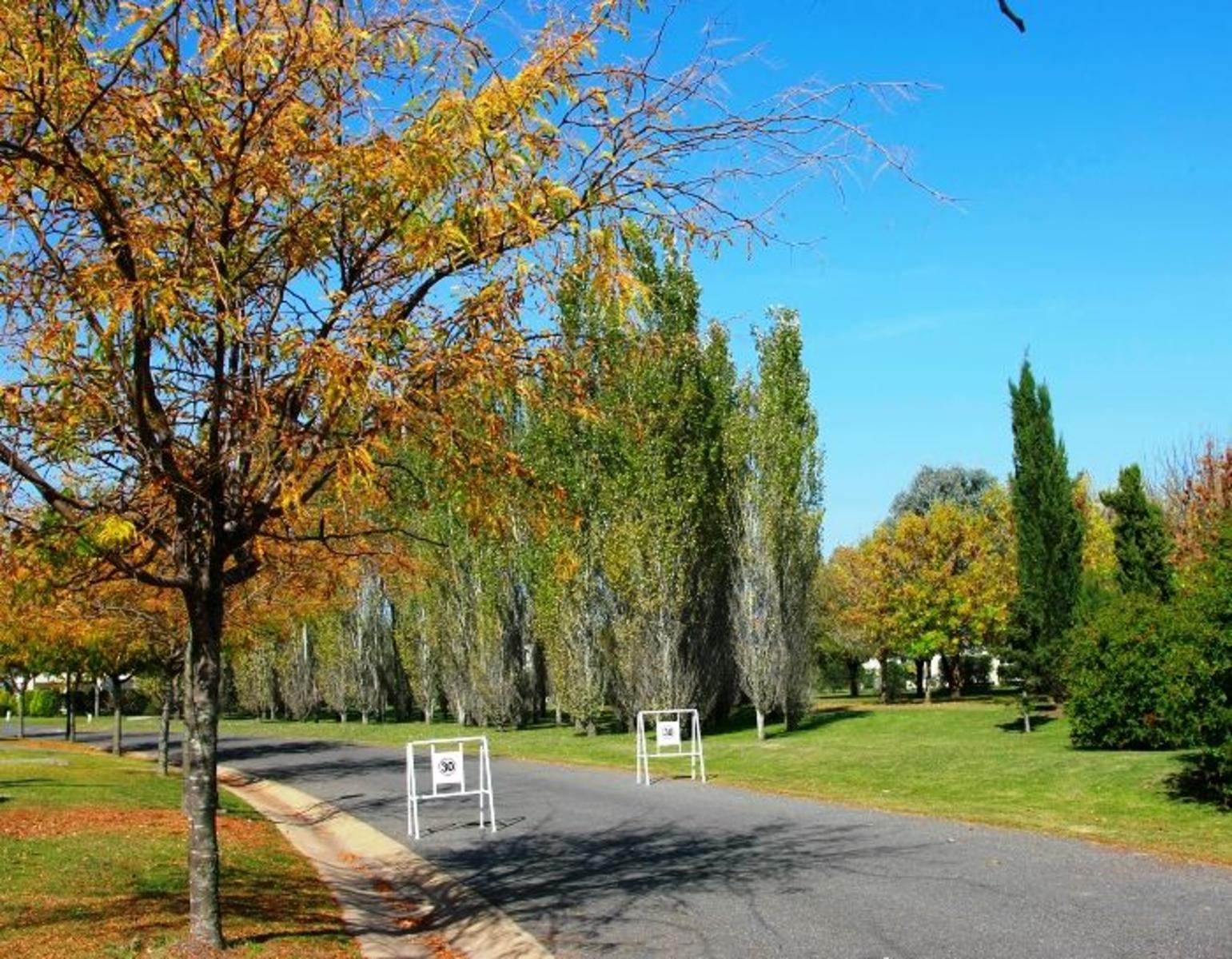 Pilar del Este- Lote -OPORTUNIDAD — foto 6