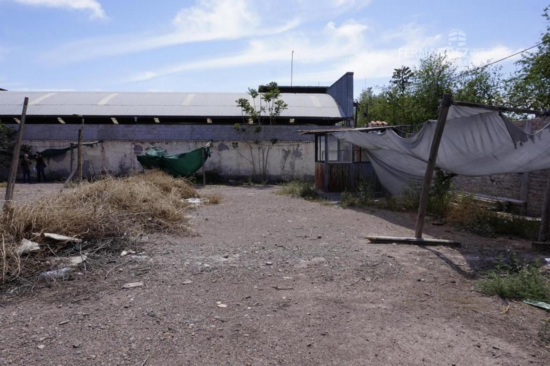 FERNANDEZ POEPPEL Alquila Playa Estacionamiento 1000 m2 Mendoza - 8