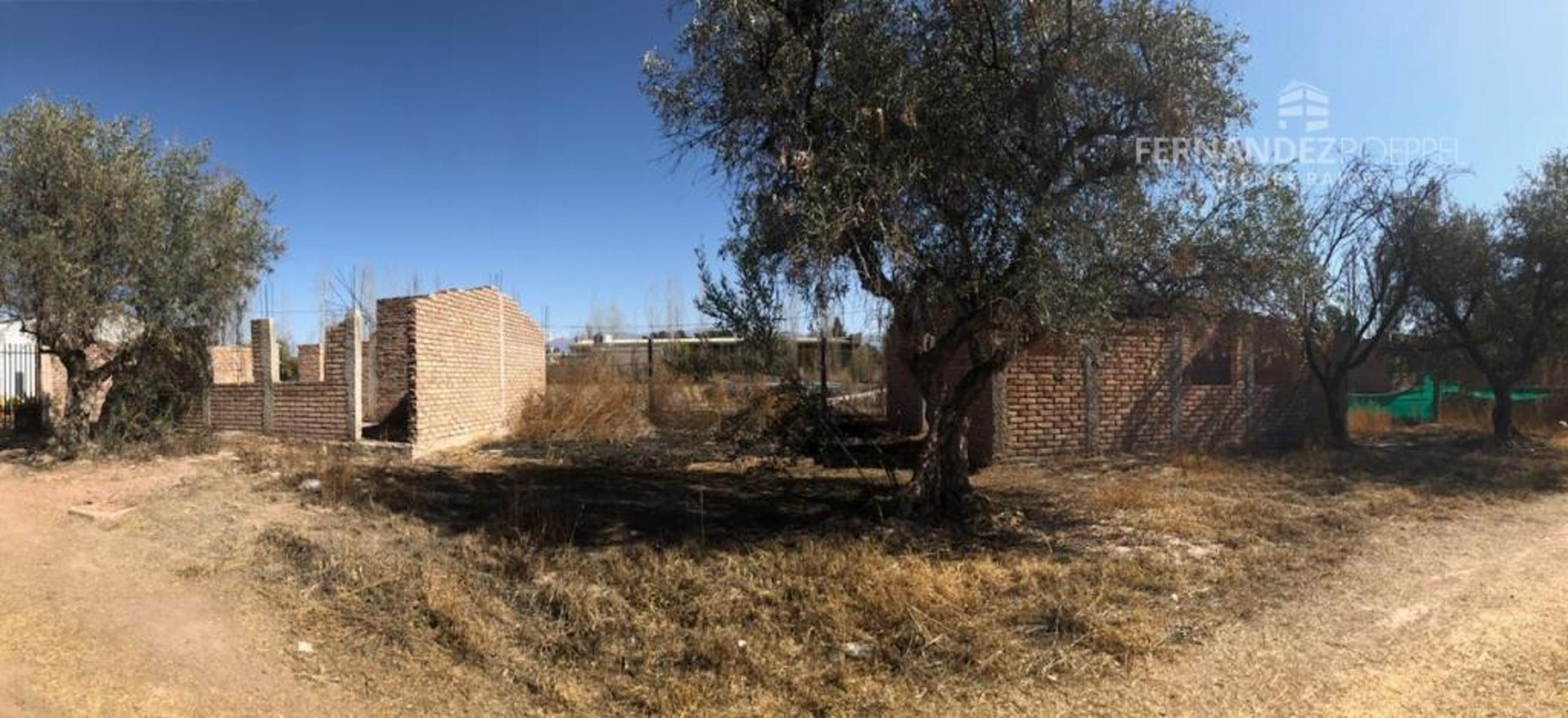FERNANDEZ POEPPEL Vende Casa 2D 1B Cmplejo Cerrado Araoz Lujan de Cuyo — foto 10