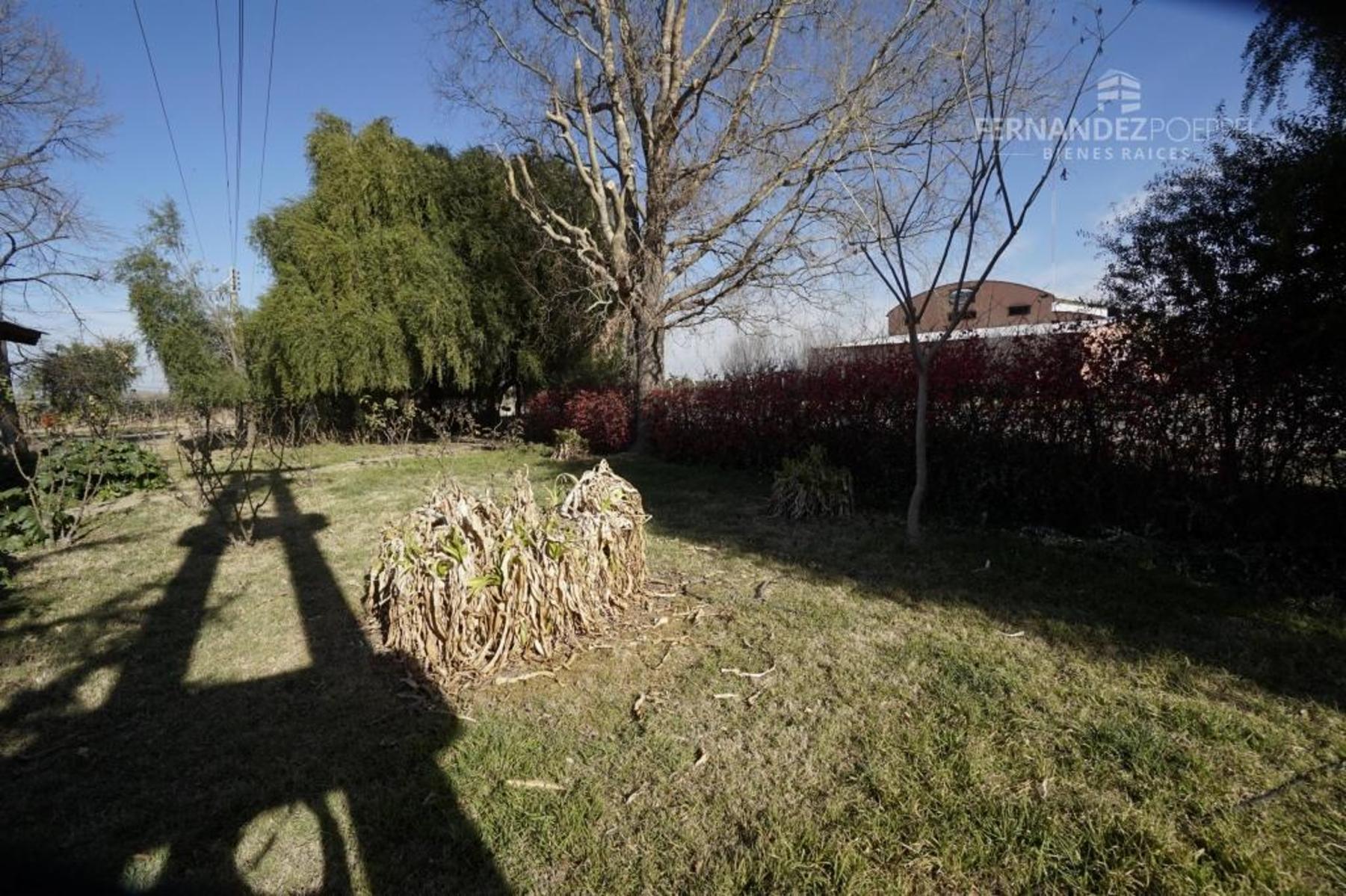FERNANDEZ POEPPEL Vende Finca Produccion Uvas Finas Tupungato Mendoza - 3