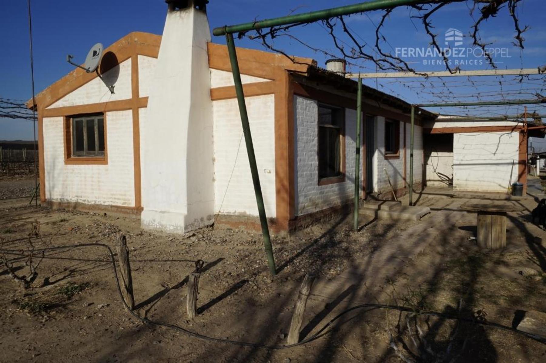 FERNANDEZ POEPPEL Vende Finca Produccion Uvas Finas Tupungato Mendoza - 15