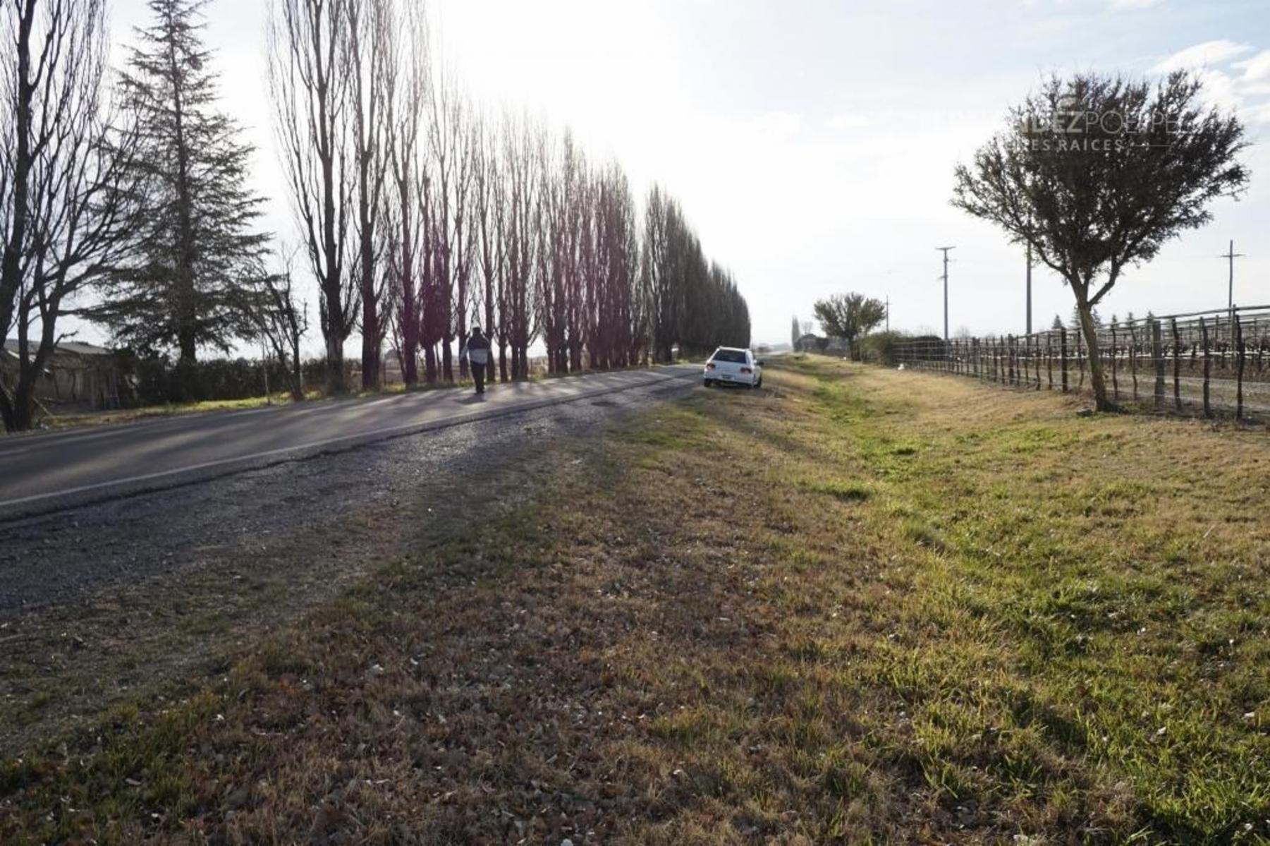 FERNANDEZ POEPPEL Vende Finca Produccion Uvas Finas Tupungato Mendoza - 19