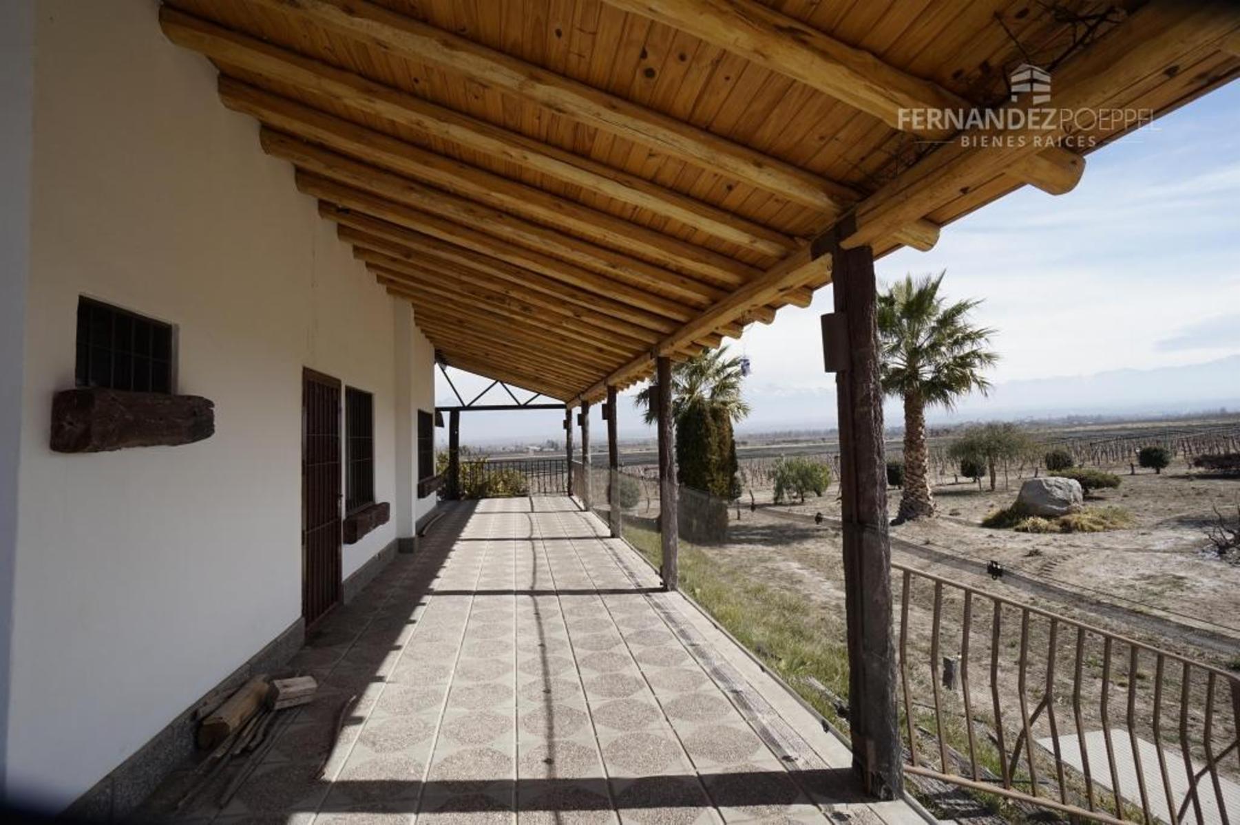 FERNANDEZ POEPPEL Vende Finca Produccion Uvas Finas Tupungato Mendoza - 20