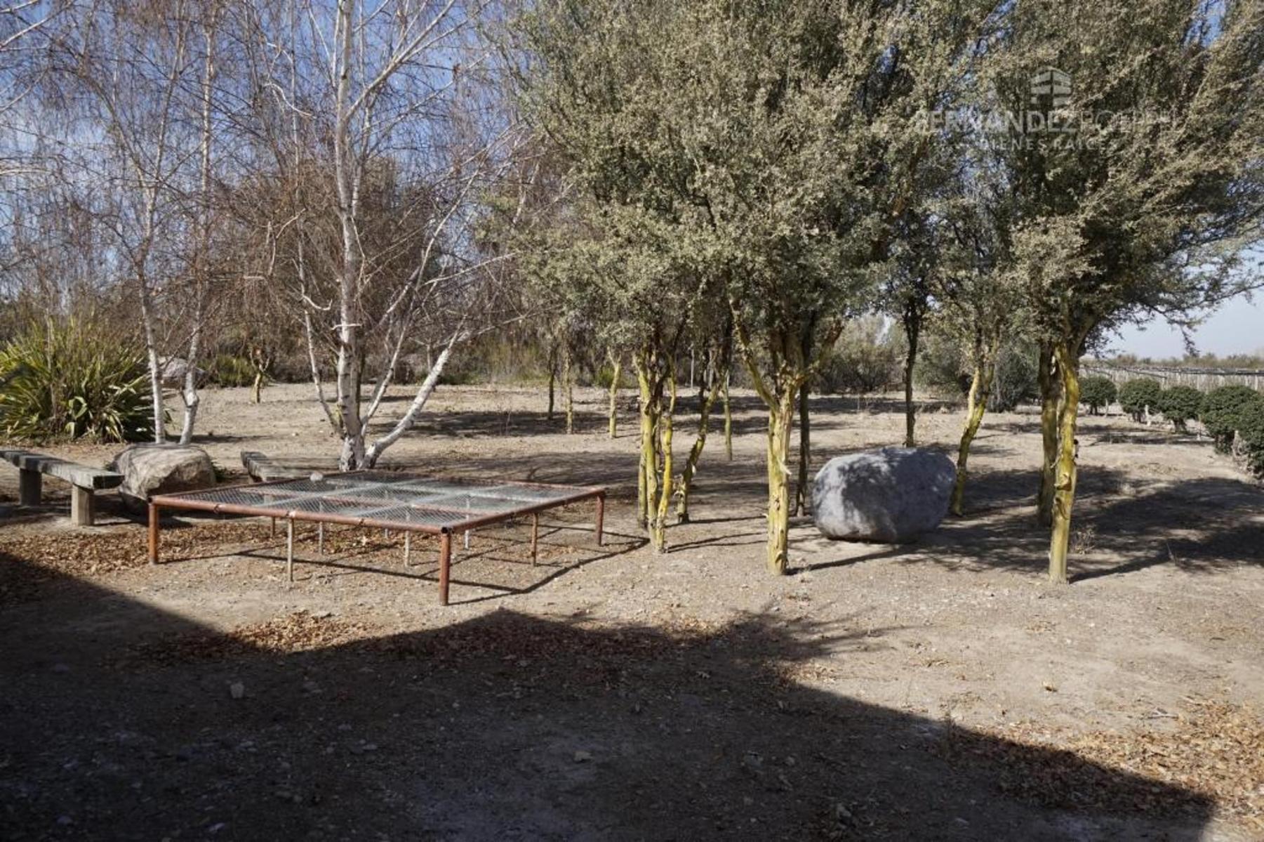 FERNANDEZ POEPPEL Vende Finca Produccion Uvas Finas Tupungato Mendoza - 22