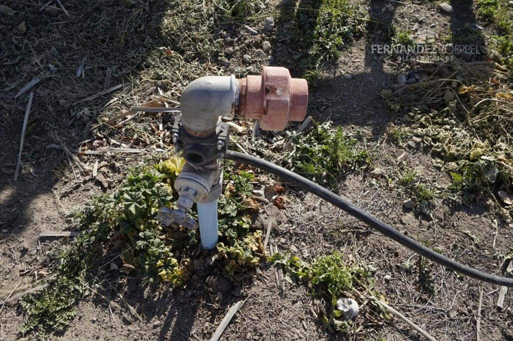FERNANDEZ POEPPEL Vende Finca Produccion Uvas Finas Tupungato Mendoza - 24