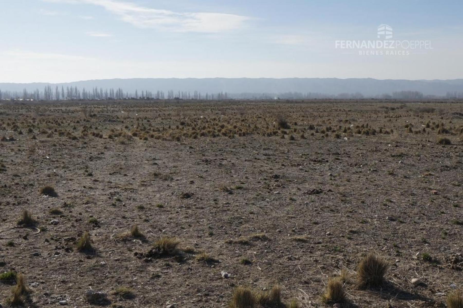 FERNANDEZ POEPPEL Vende Terreno 1,5 Ha. Tupungato - 1