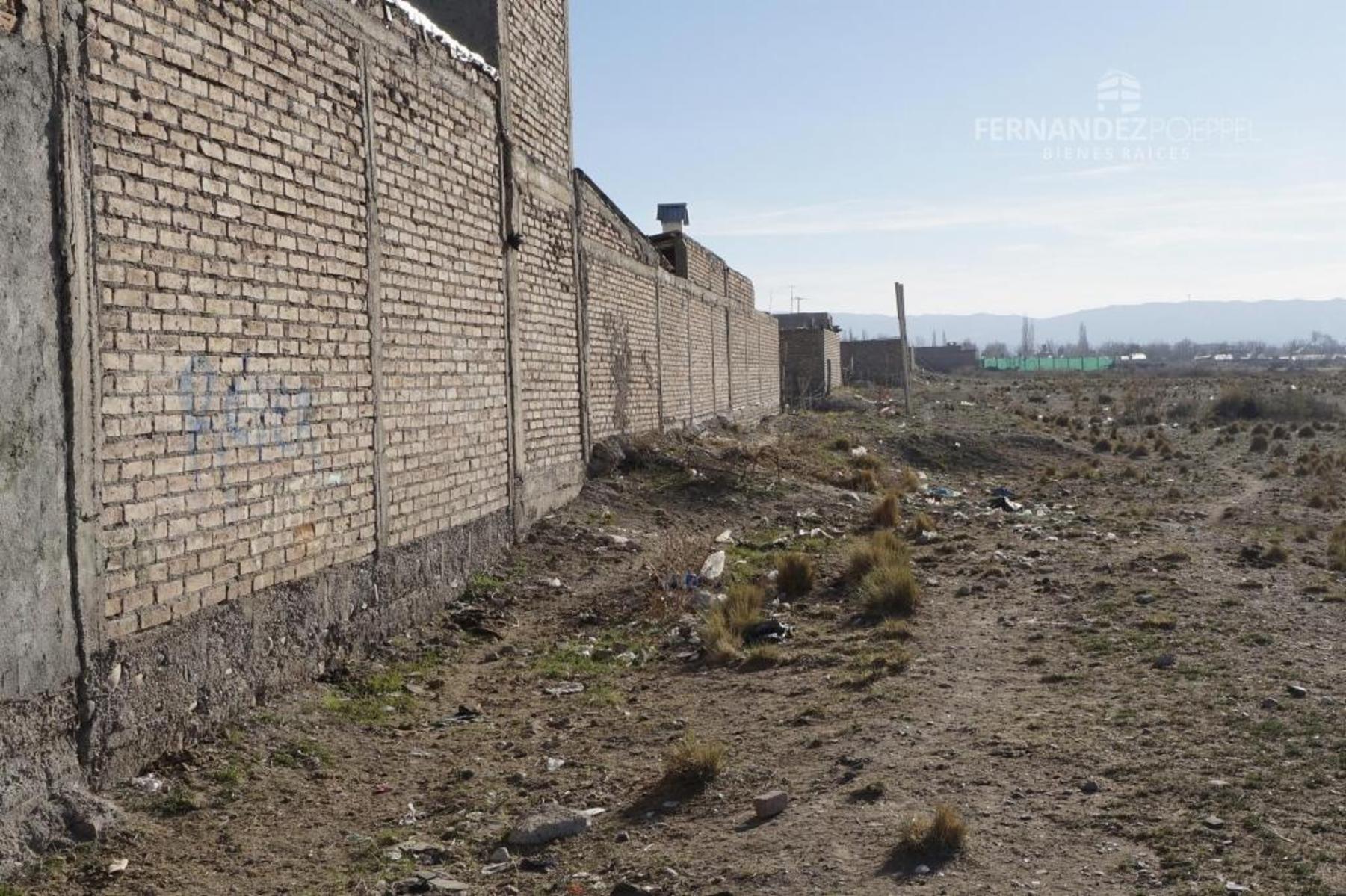 FERNANDEZ POEPPEL Vende Terreno 1,5 Ha. Tupungato — foto 5