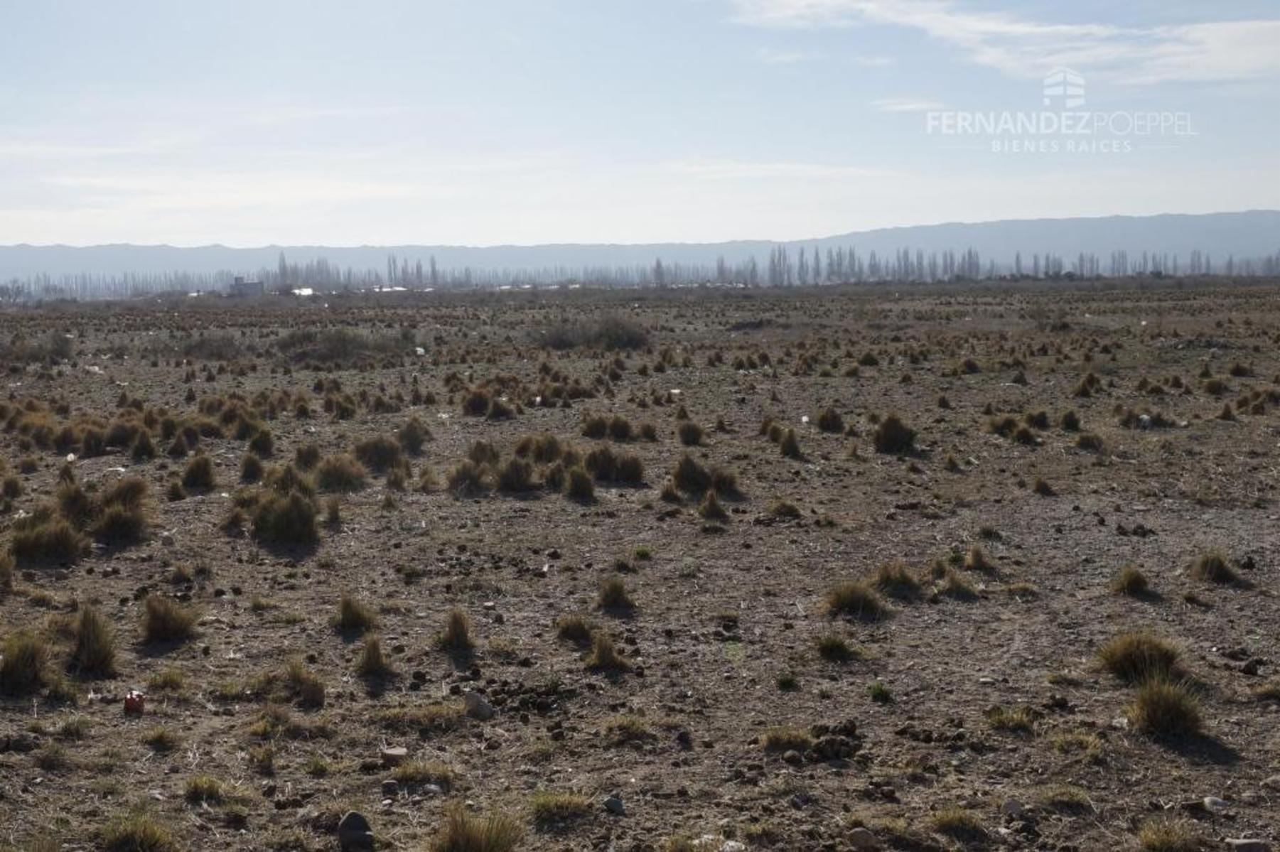 FERNANDEZ POEPPEL Vende Terreno 1,5 Ha. Tupungato — foto 9