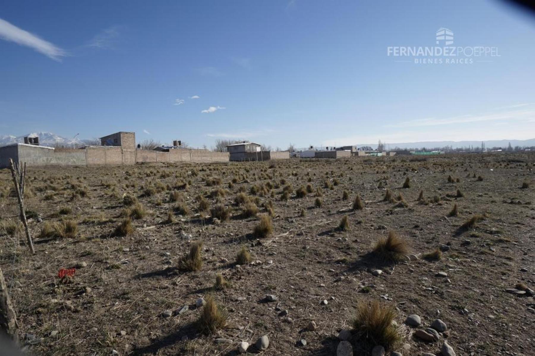 FERNANDEZ POEPPEL Vende Terreno 1,5 Ha. Tupungato — foto 10