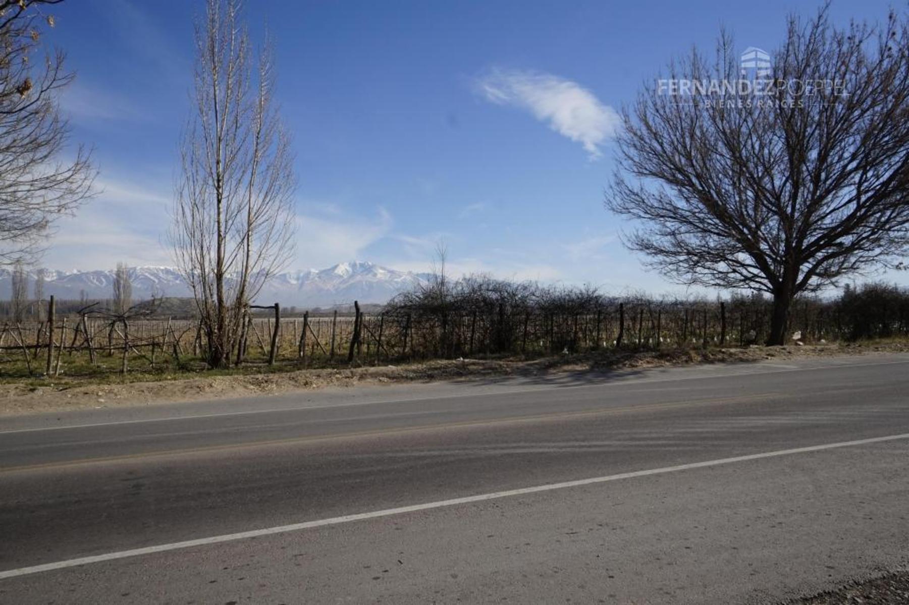 FERNANDEZ POEPPEL Vende Terreno 1,5 Ha. Tupungato — foto 12