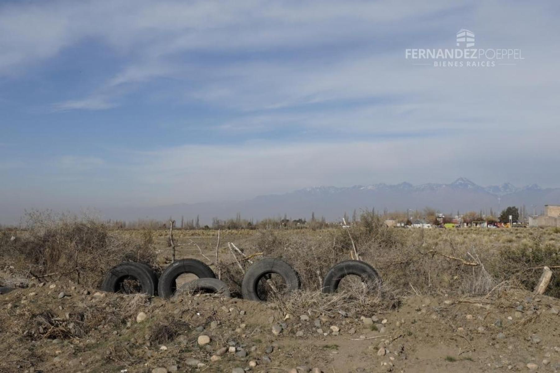 FERNANDEZ POEPPEL Vende Terreno 1,5 Ha. Tupungato — foto 13