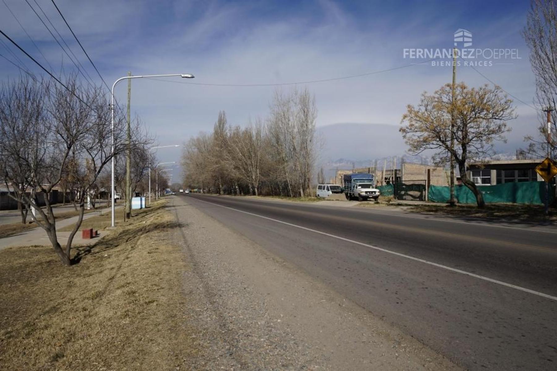 FERNANDEZ POEPPEL Vende Terreno 1,5 Ha. Tupungato — foto 15