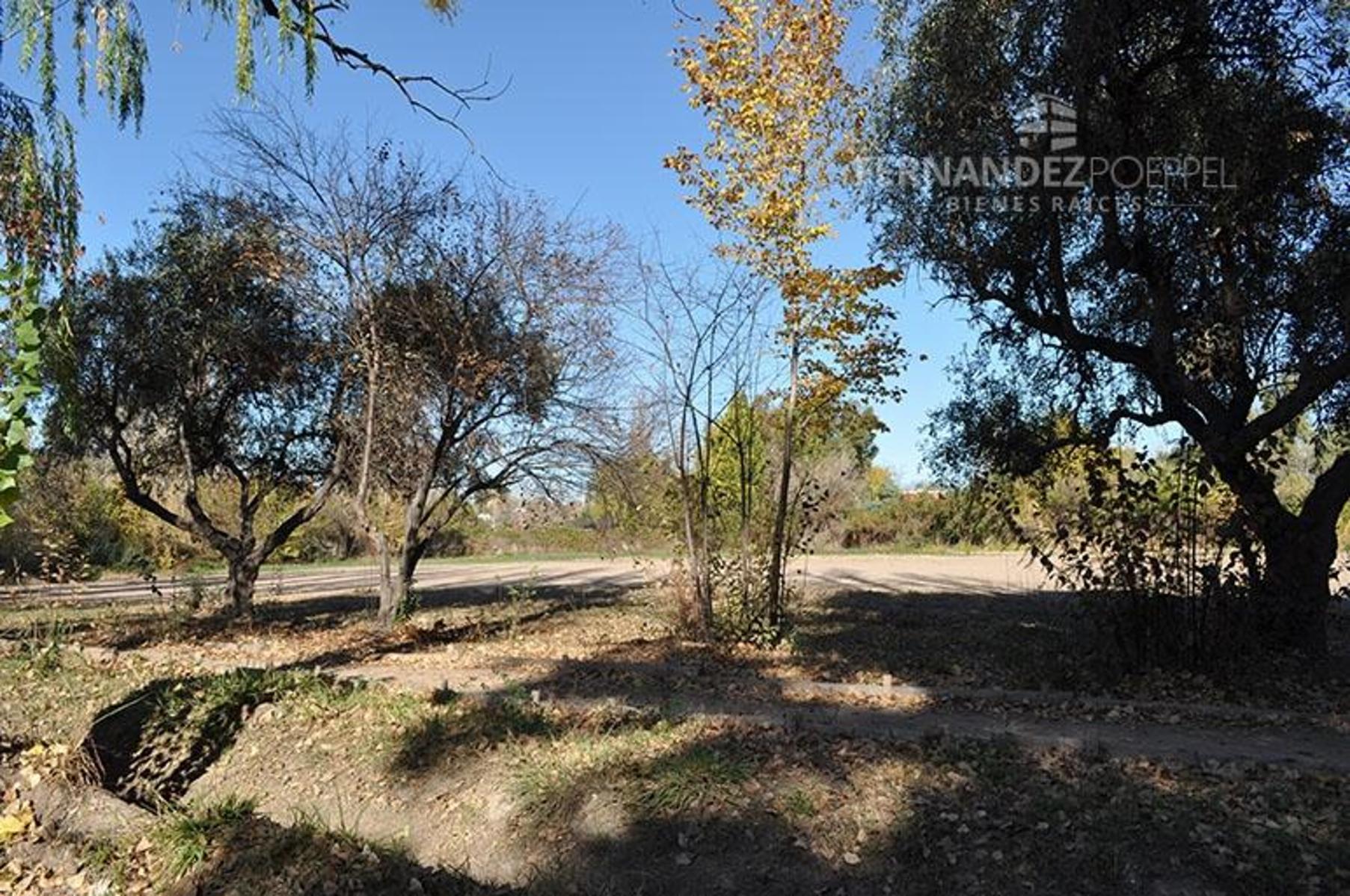 FERNANDEZ POEPPEL Vende Propiedad Instituciones Terreno Para Construir La Puntilla — foto 14