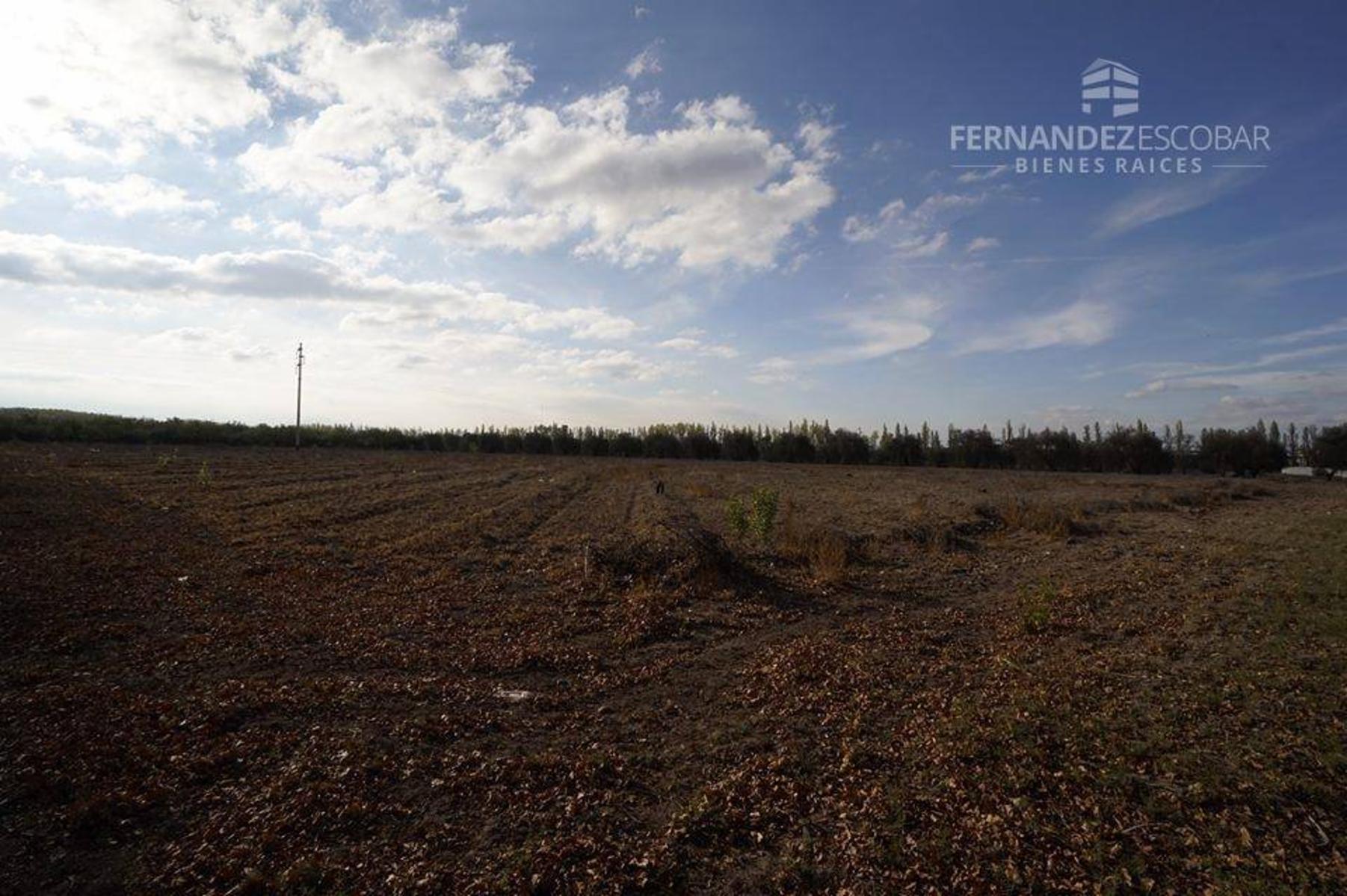 FERNANDEZ POEPPEL Vende Terreno 7,5 Ha Coquimbito Maipu — foto 4