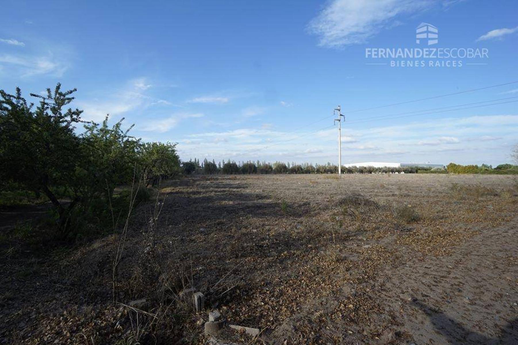 FERNANDEZ POEPPEL Vende Terreno 7,5 Ha Coquimbito Maipu — foto 5