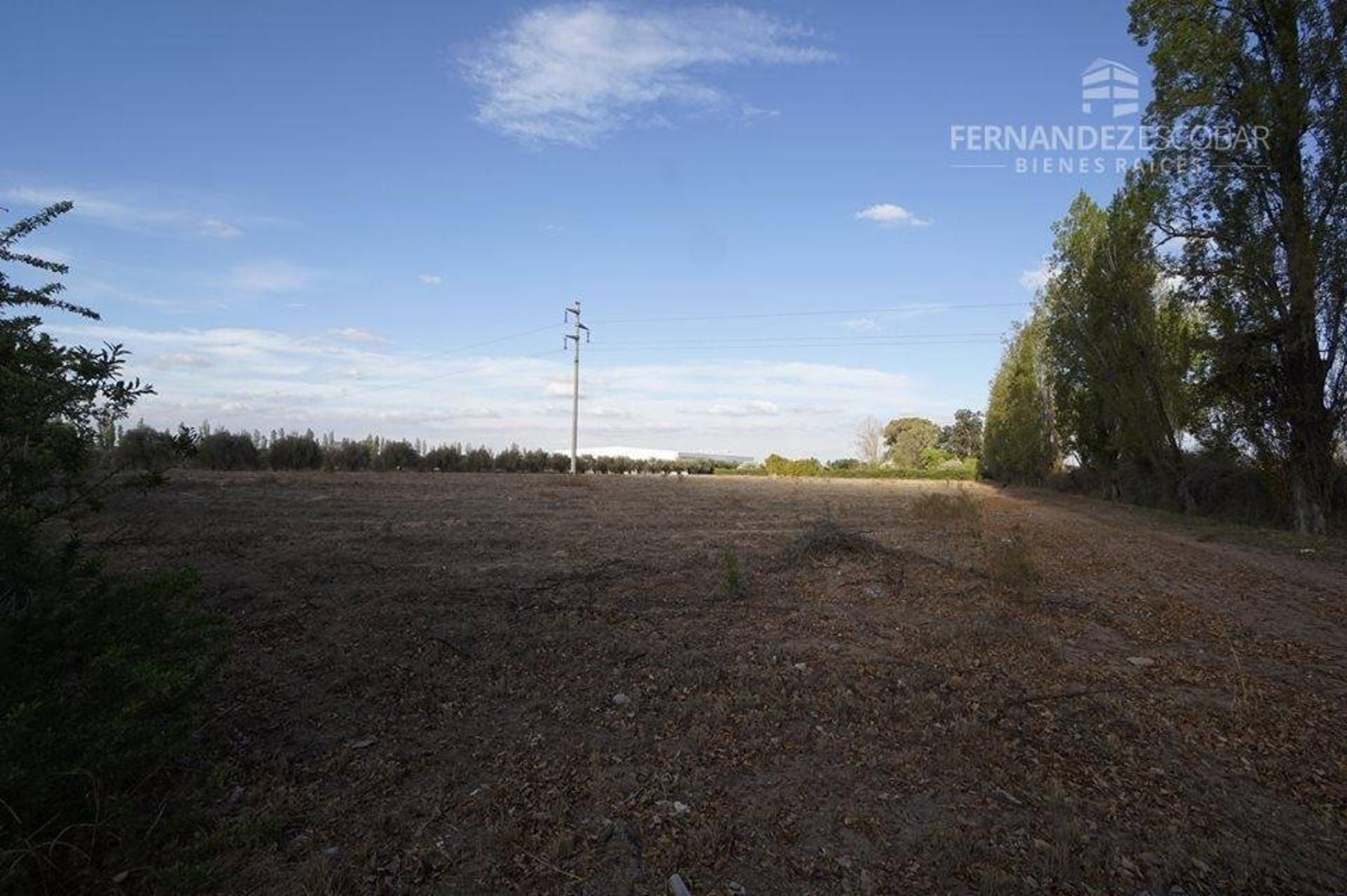 FERNANDEZ POEPPEL Vende Terreno 7,5 Ha Coquimbito Maipu — foto 10