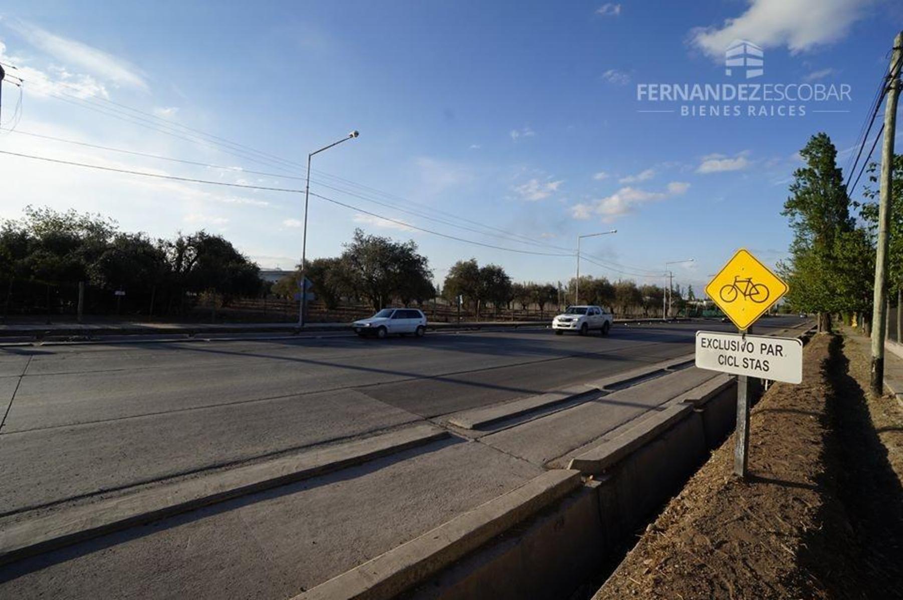 FERNANDEZ POEPPEL Vende Terreno 7,5 Ha Coquimbito Maipu — foto 14