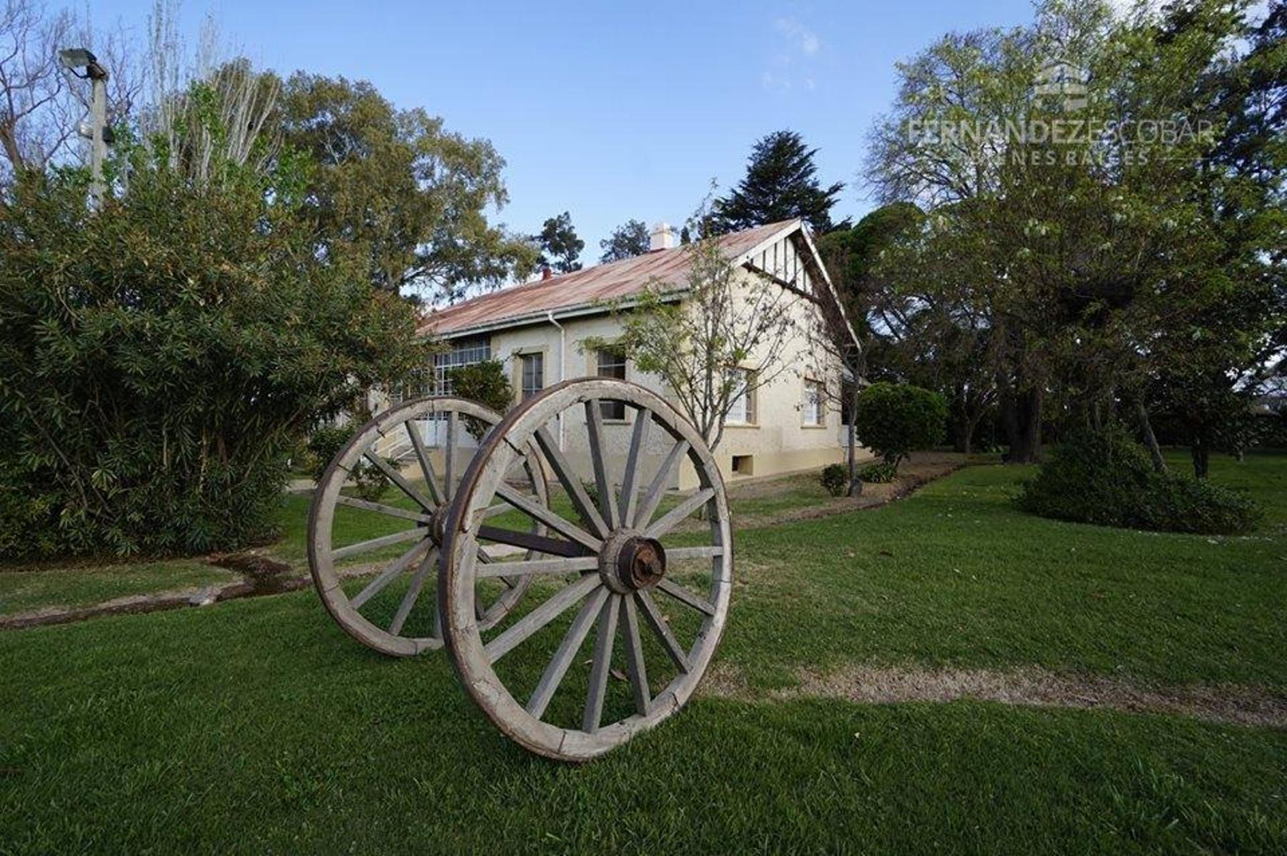 FERNANDEZ POEPPEL Vende Quinta 1,8 Ha. Coquimbito Maipu - 3