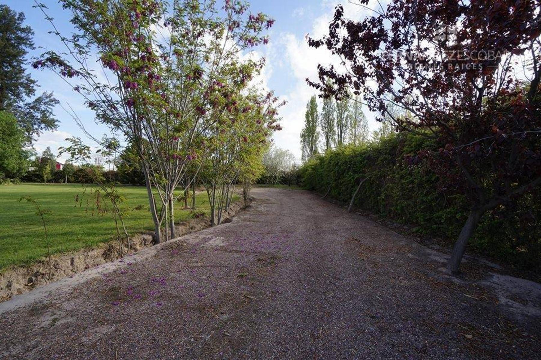 FERNANDEZ POEPPEL Vende Quinta 1,8 Ha. Coquimbito Maipu - 6