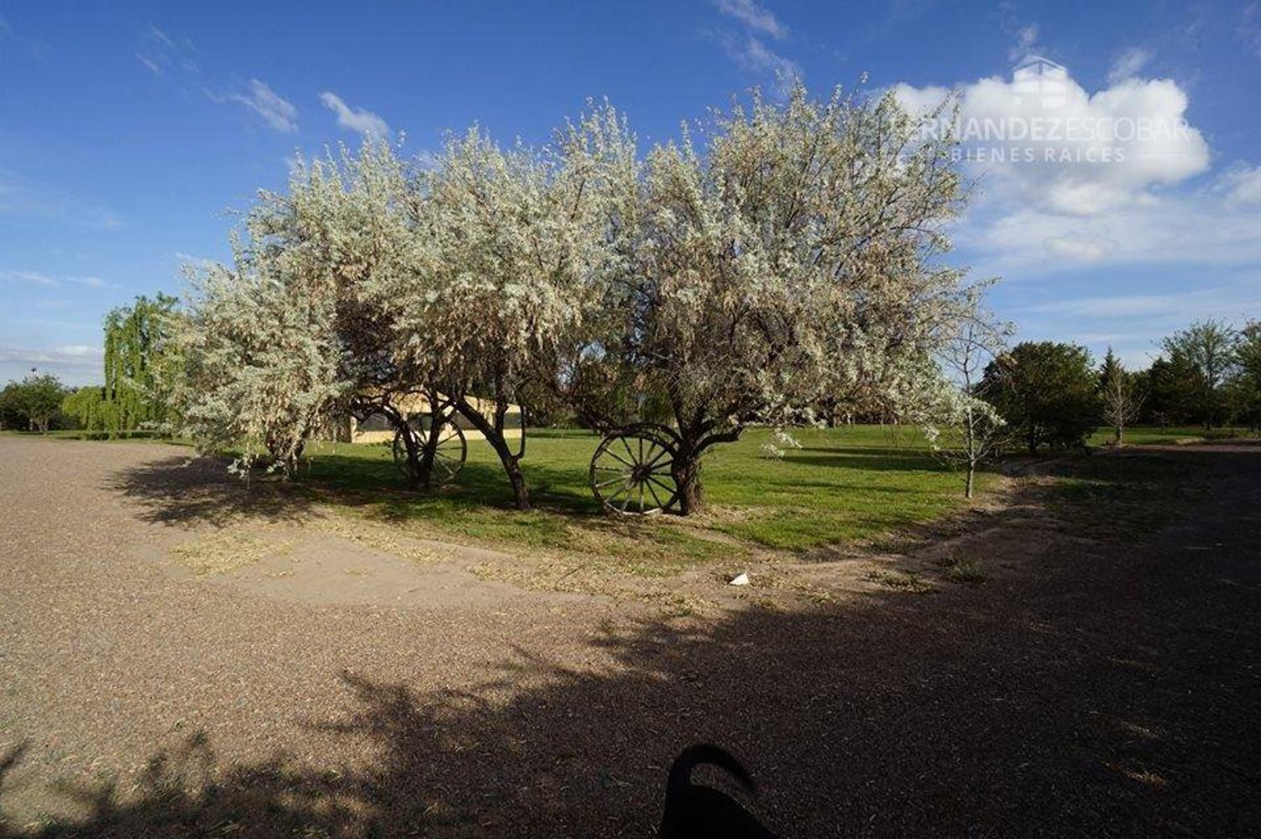 FERNANDEZ POEPPEL Vende Quinta 1,8 Ha. Coquimbito Maipu - 8
