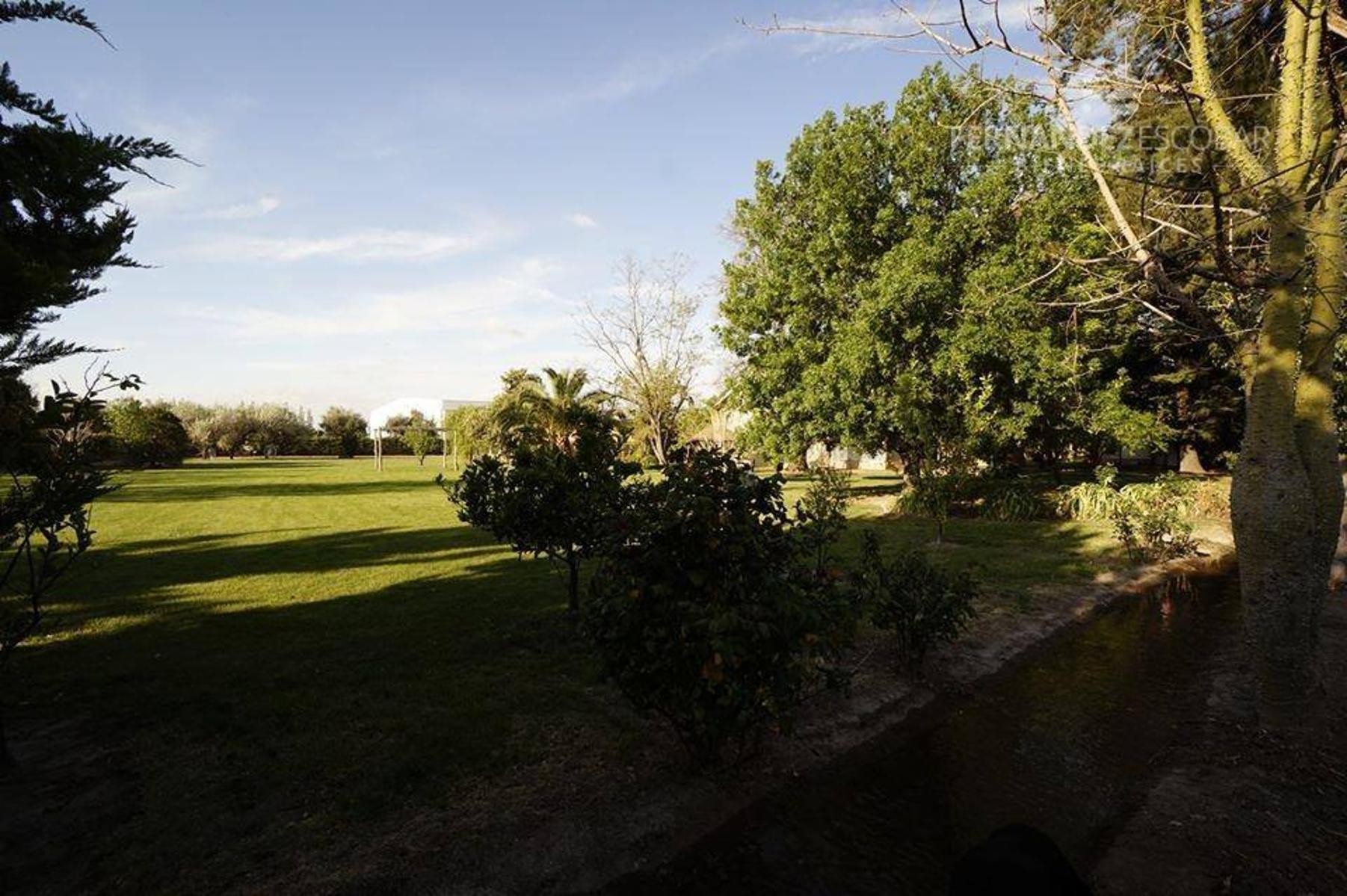 FERNANDEZ POEPPEL Vende Quinta 1,8 Ha. Coquimbito Maipu - 10