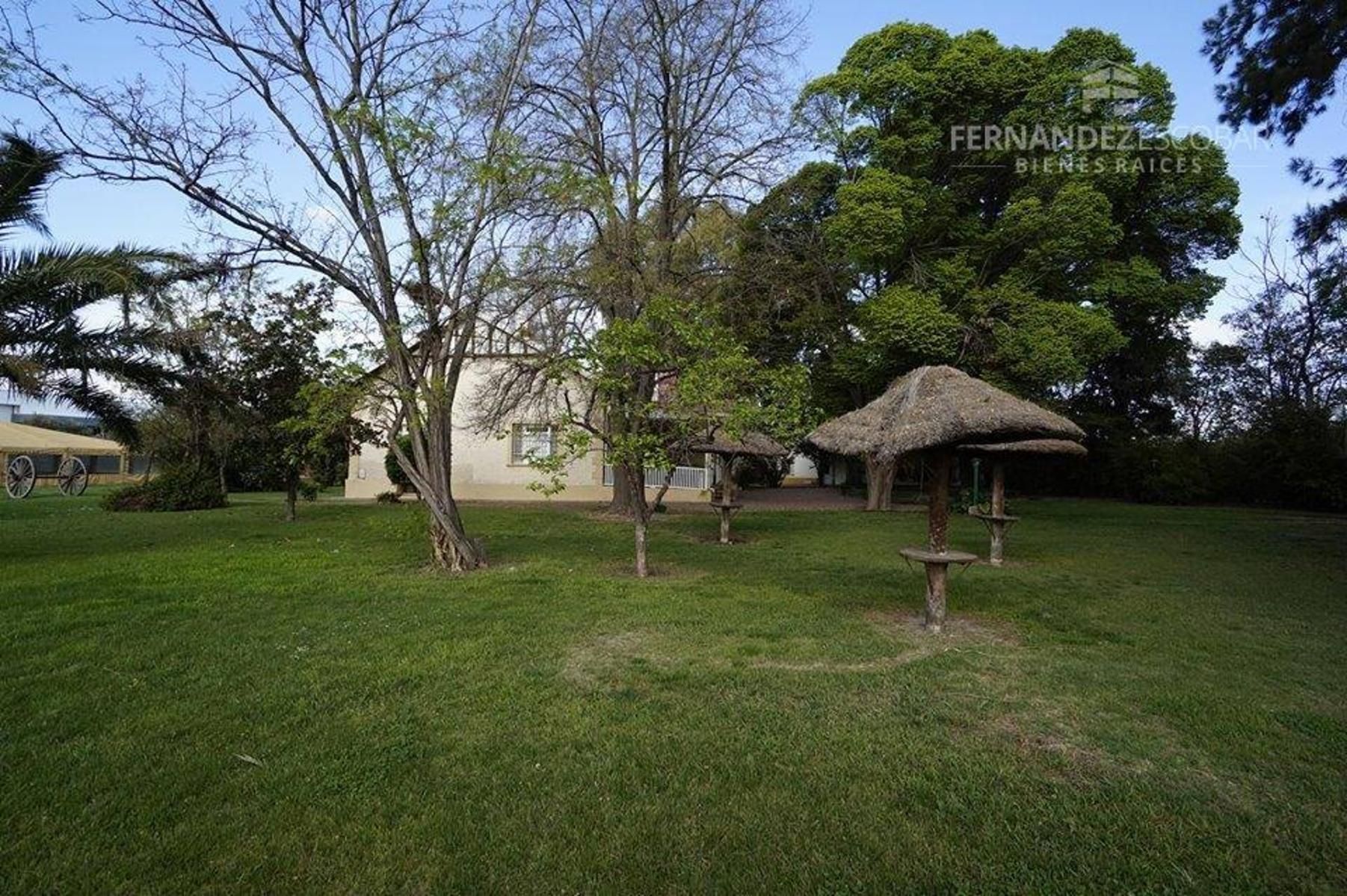 FERNANDEZ POEPPEL Vende Quinta 1,8 Ha. Coquimbito Maipu - 12