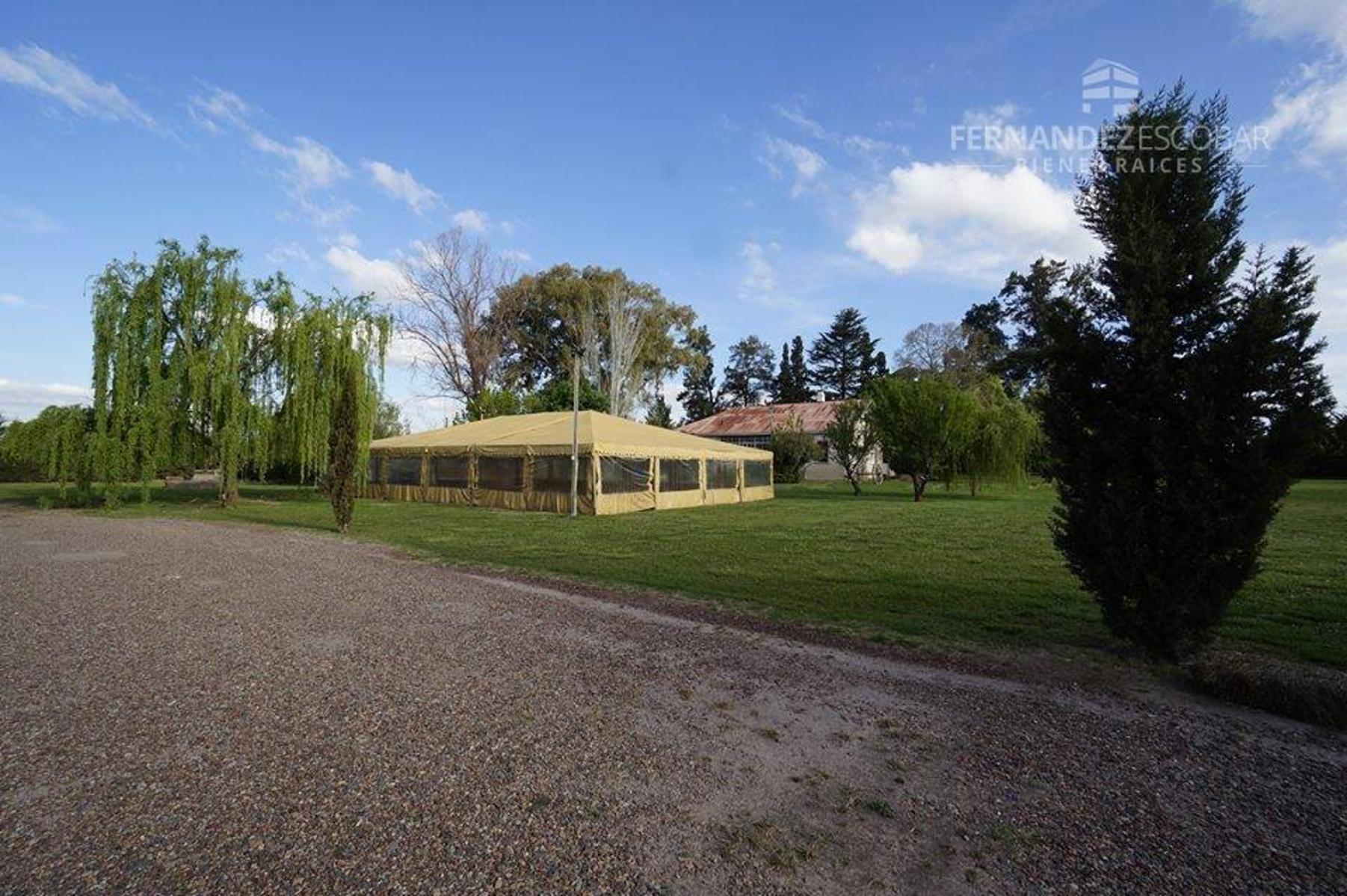 FERNANDEZ POEPPEL Vende Quinta 1,8 Ha. Coquimbito Maipu - 15