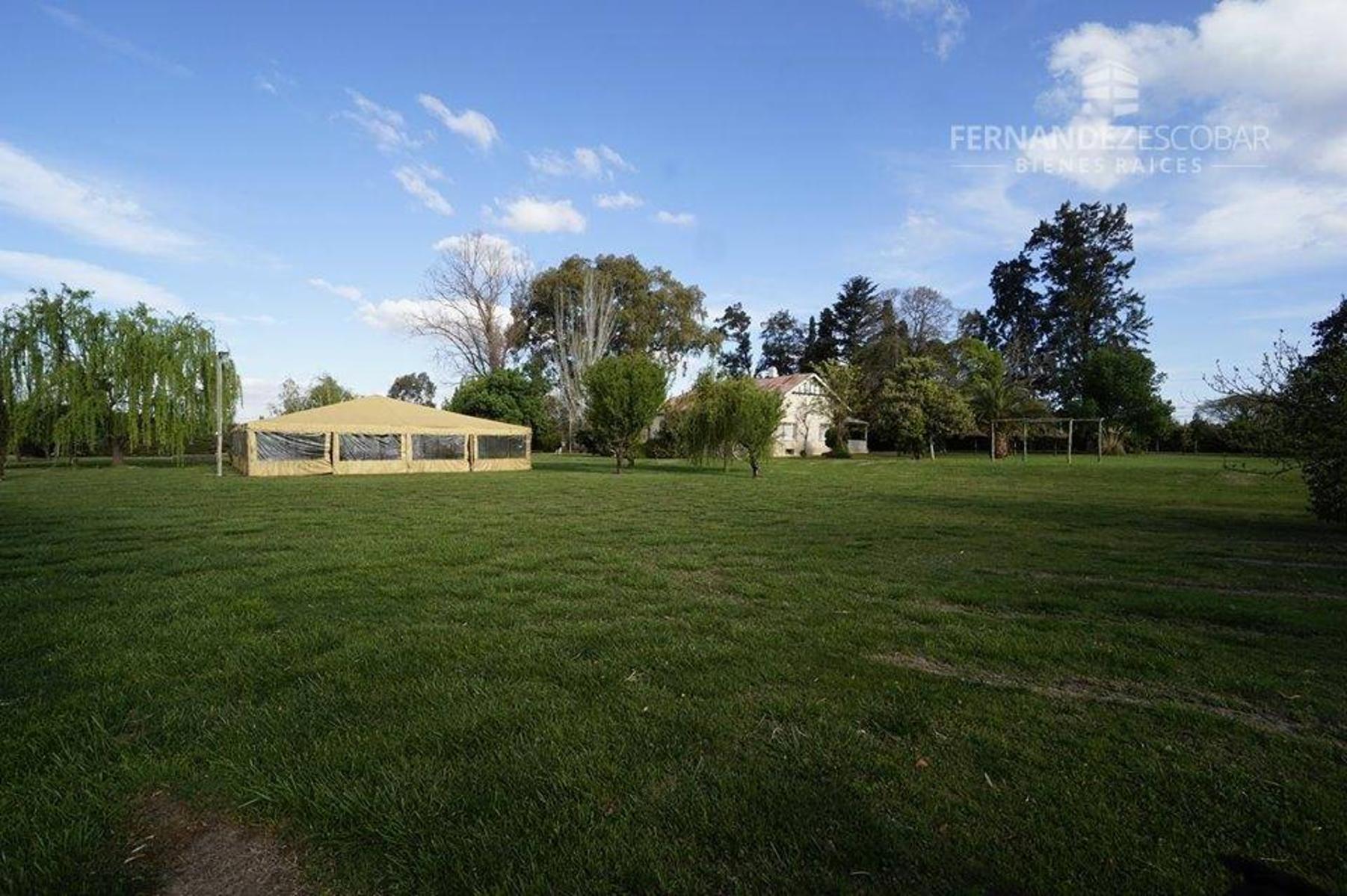 FERNANDEZ POEPPEL Vende Quinta 1,8 Ha. Coquimbito Maipu - 18