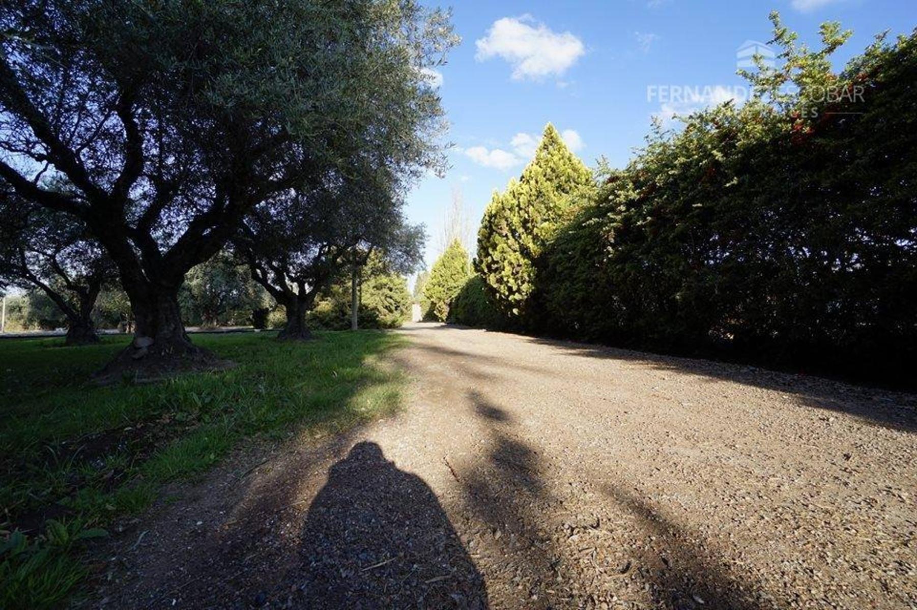 FERNANDEZ POEPPEL Vende Quinta 1,8 Ha. Coquimbito Maipu - 25