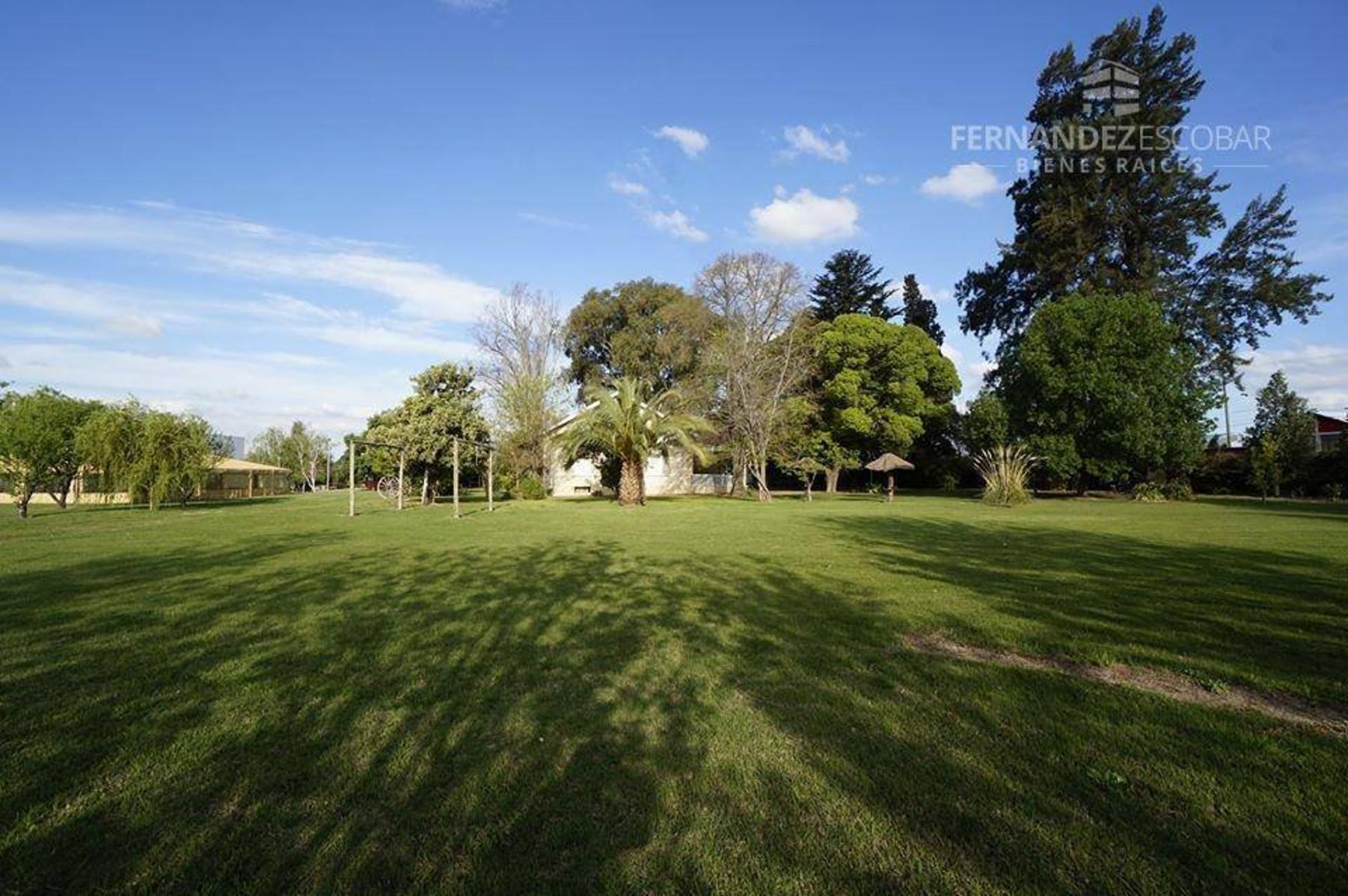 FERNANDEZ POEPPEL Vende Quinta 1,8 Ha. Coquimbito Maipu - 26