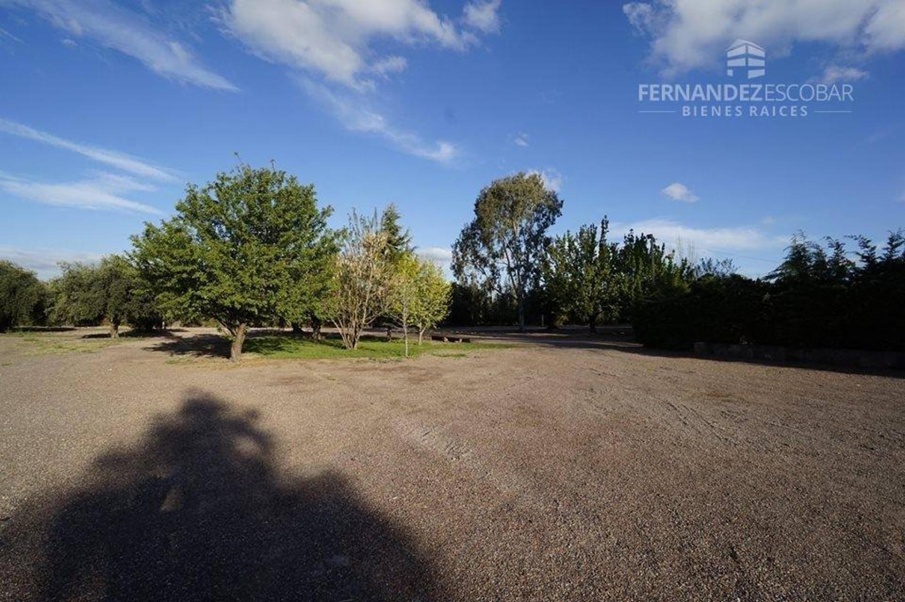 FERNANDEZ POEPPEL Vende Quinta 1,8 Ha. Coquimbito Maipu - 27