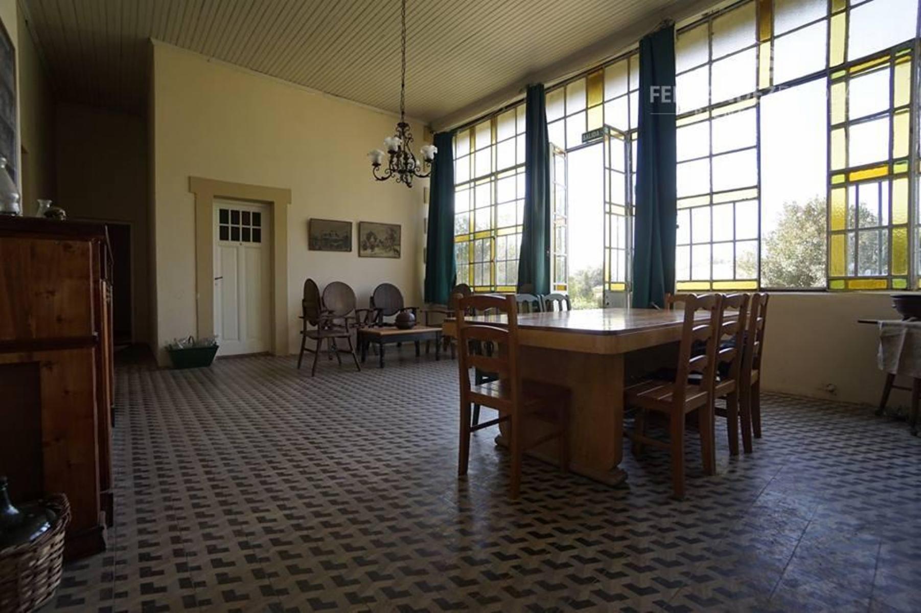 FERNANDEZ POEPPEL Vende Quinta 1,8 Ha. Coquimbito Maipu - 29