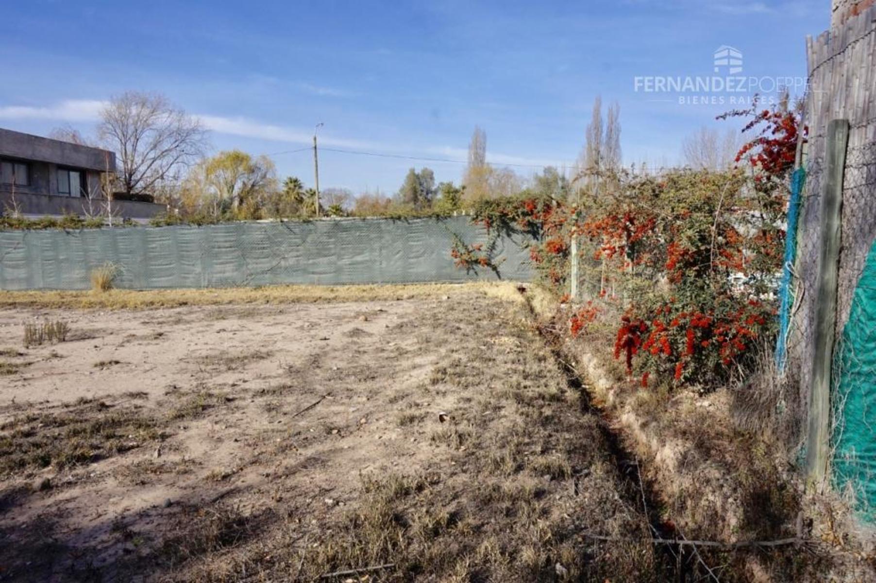 VENTA Lote Barrio Cerrado Pueyrredon Chacras de Coria Lujan de Cuyo — foto 4