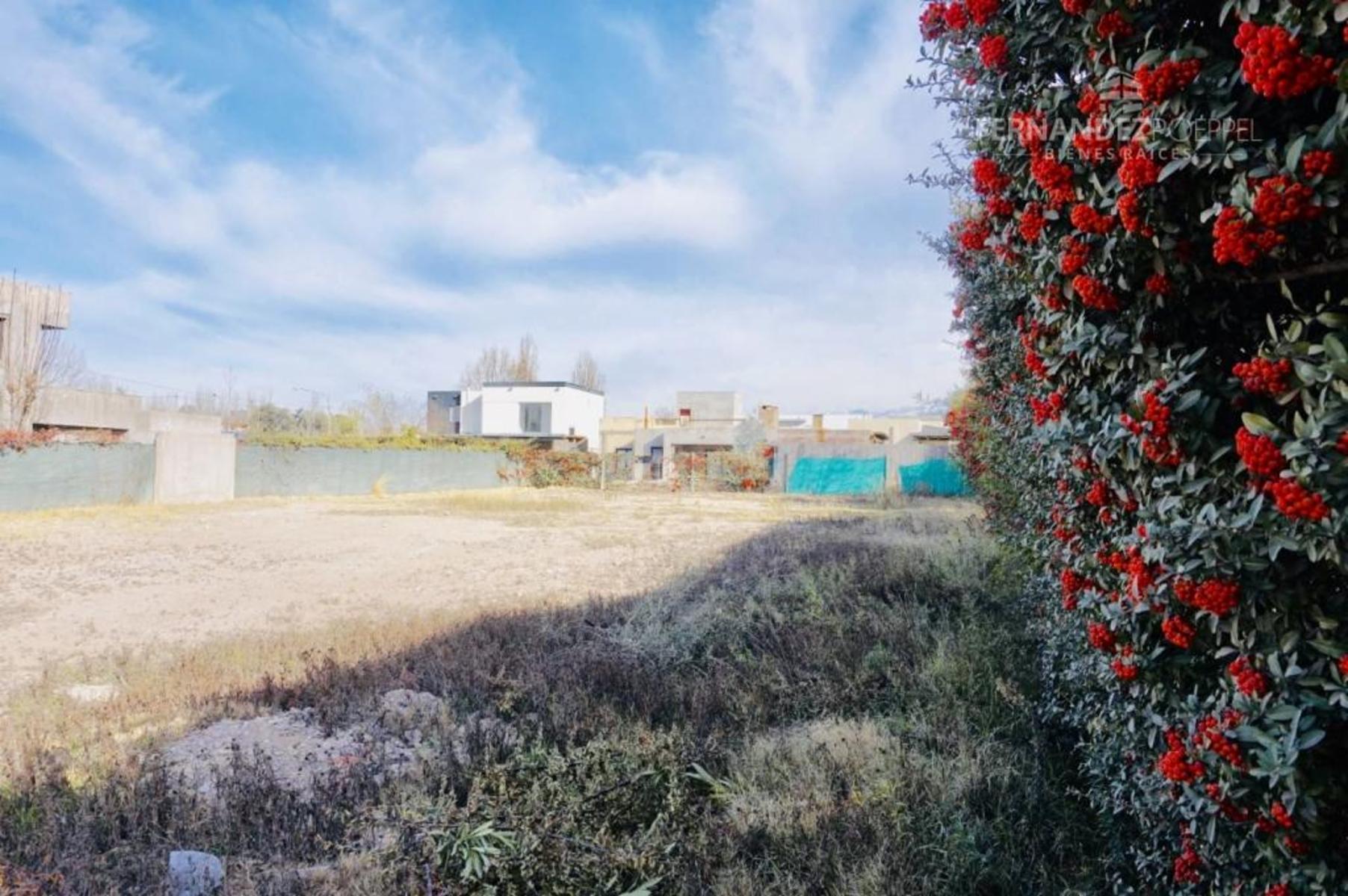 VENTA Lote Barrio Cerrado Pueyrredon Chacras de Coria Lujan de Cuyo — foto 9