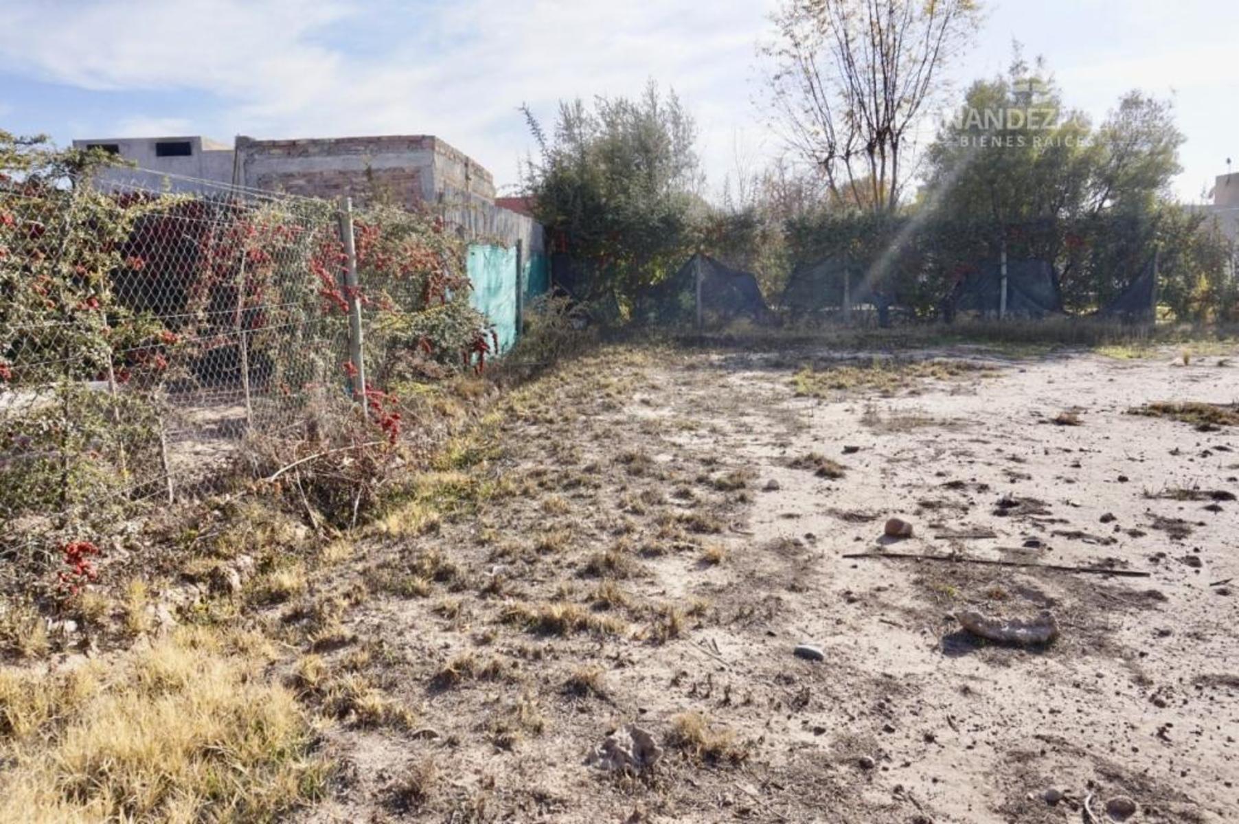 VENTA Lote Barrio Cerrado Pueyrredon Chacras de Coria Lujan de Cuyo — foto 10