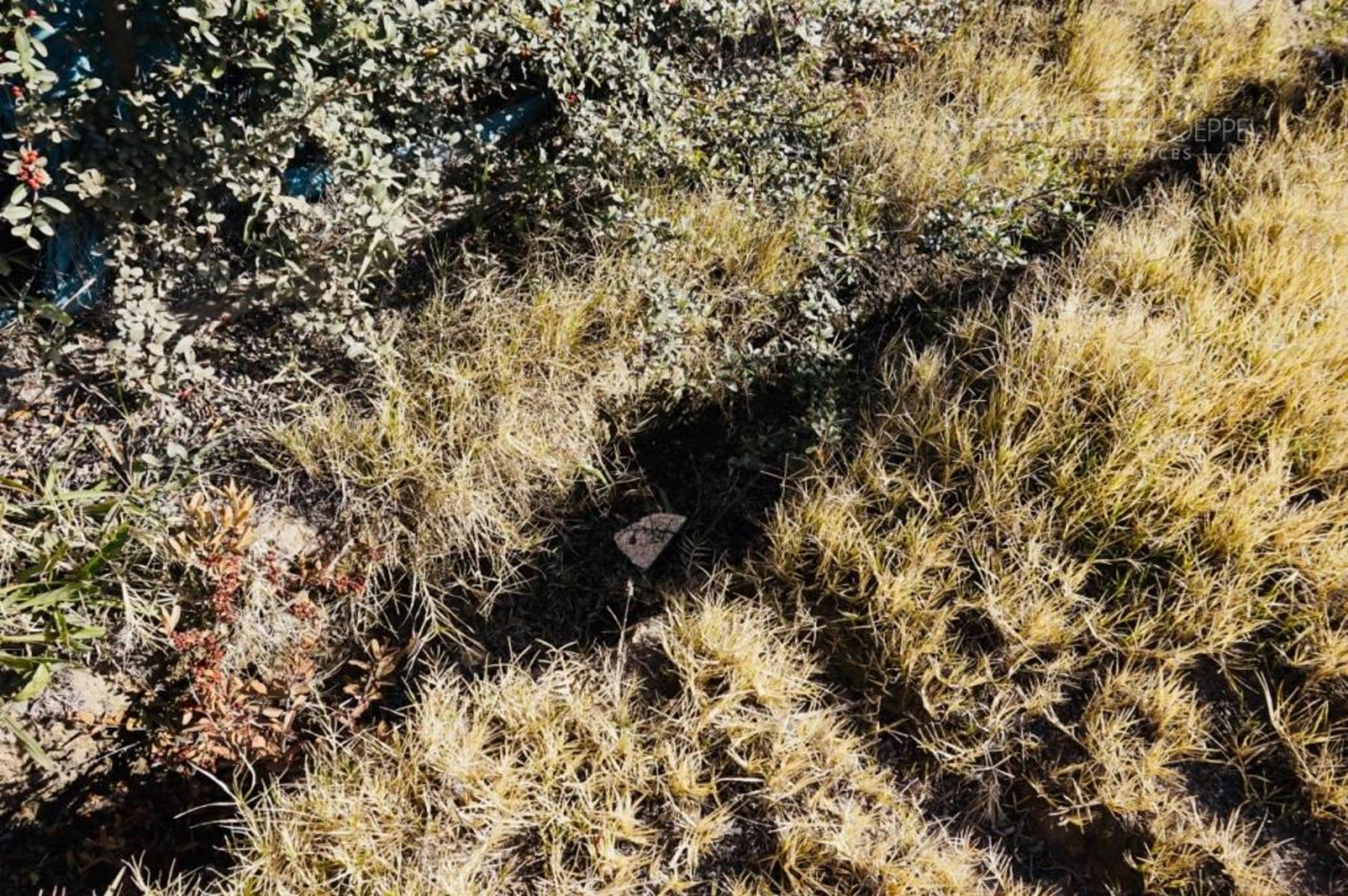 VENTA Lote Barrio Cerrado Pueyrredon Chacras de Coria Lujan de Cuyo — foto 13