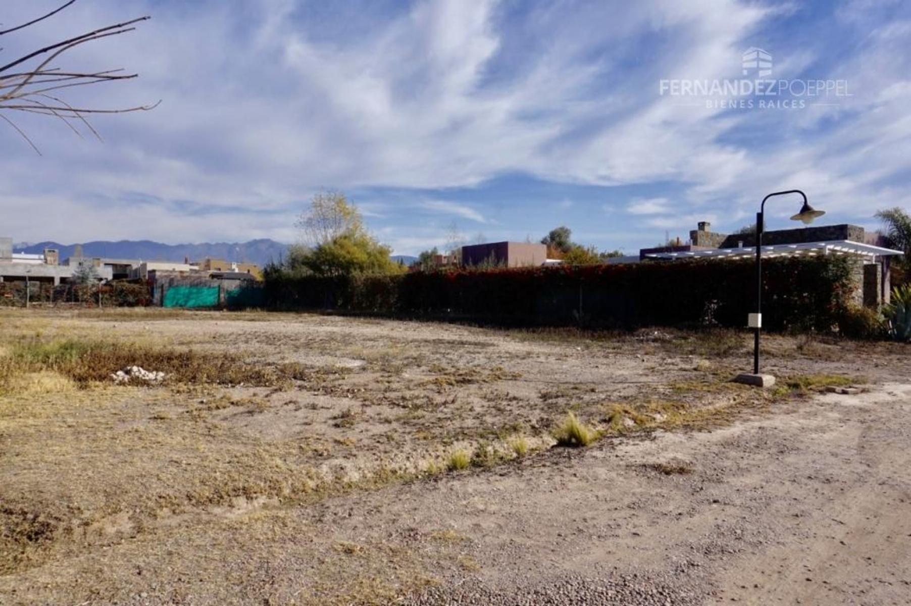VENTA Lote Barrio Cerrado Pueyrredon Chacras de Coria Lujan de Cuyo — foto 14