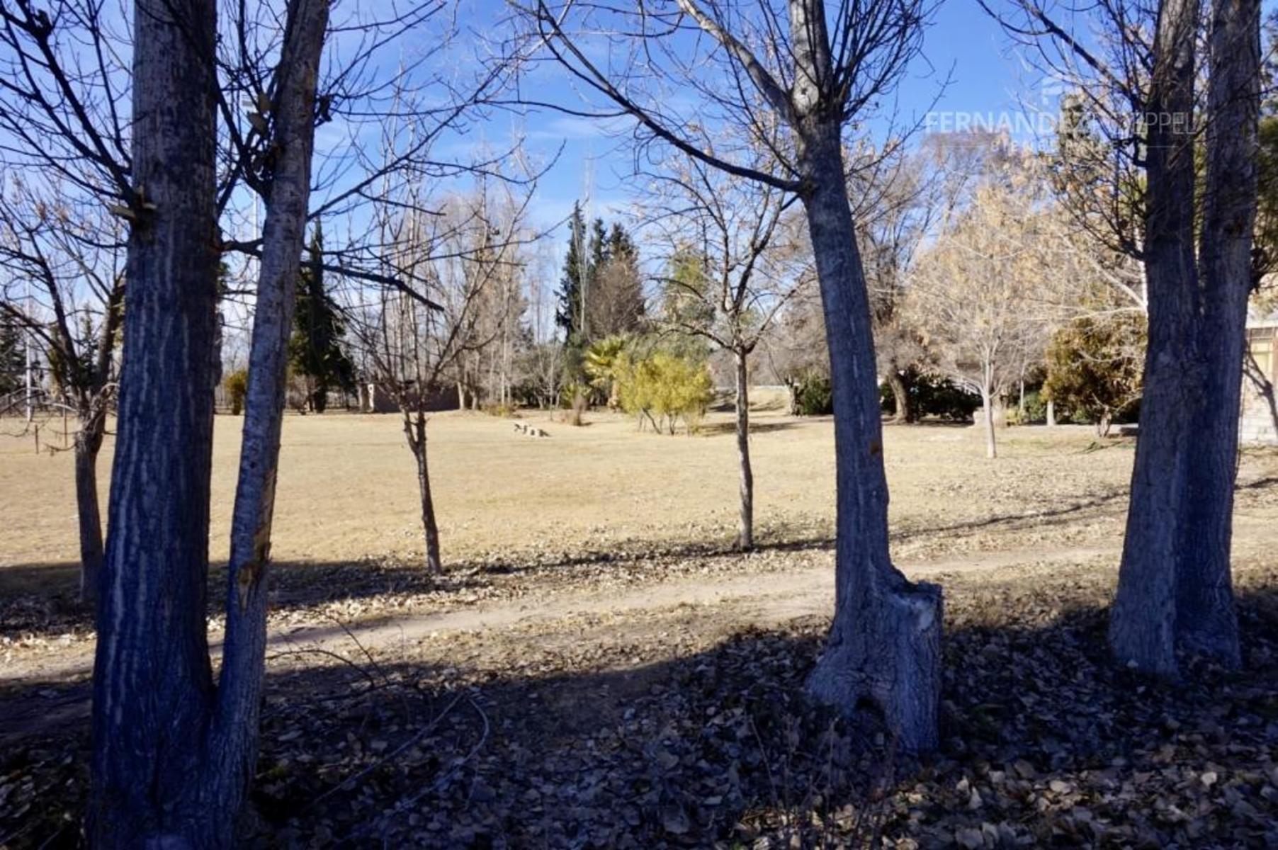 SE VENDE Lote 1700 m2 Fray Luis Beltran — foto 2