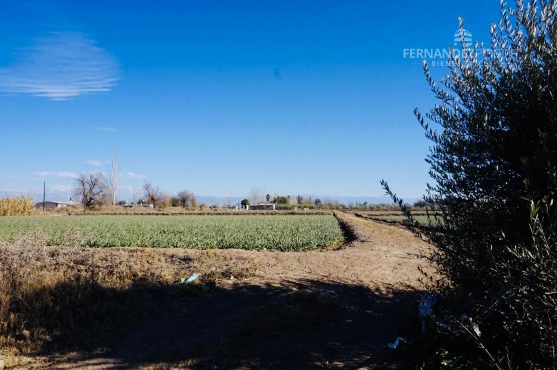 SE VENDE Lote 1700 m2 Fray Luis Beltran — foto 6