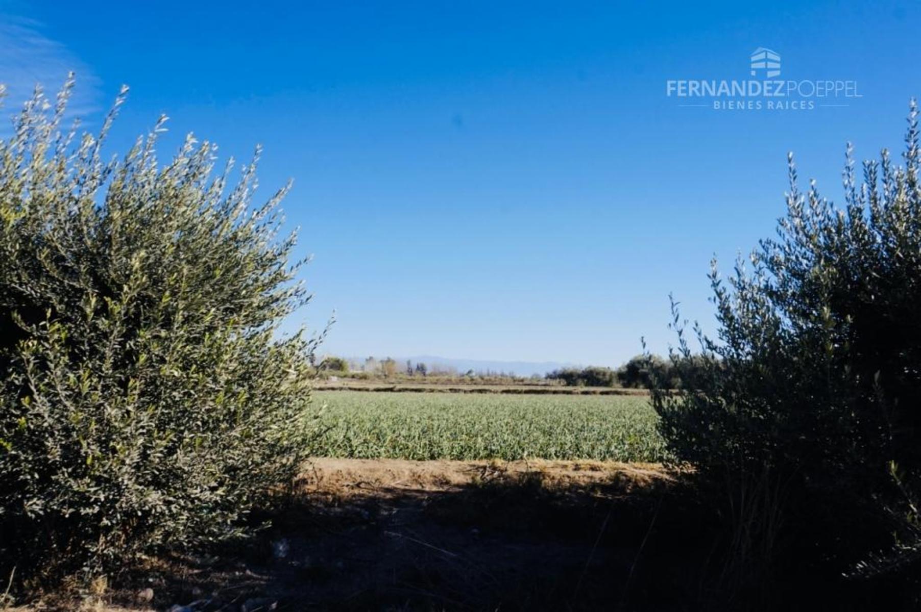 SE VENDE Lote 1700 m2 Fray Luis Beltran — foto 10