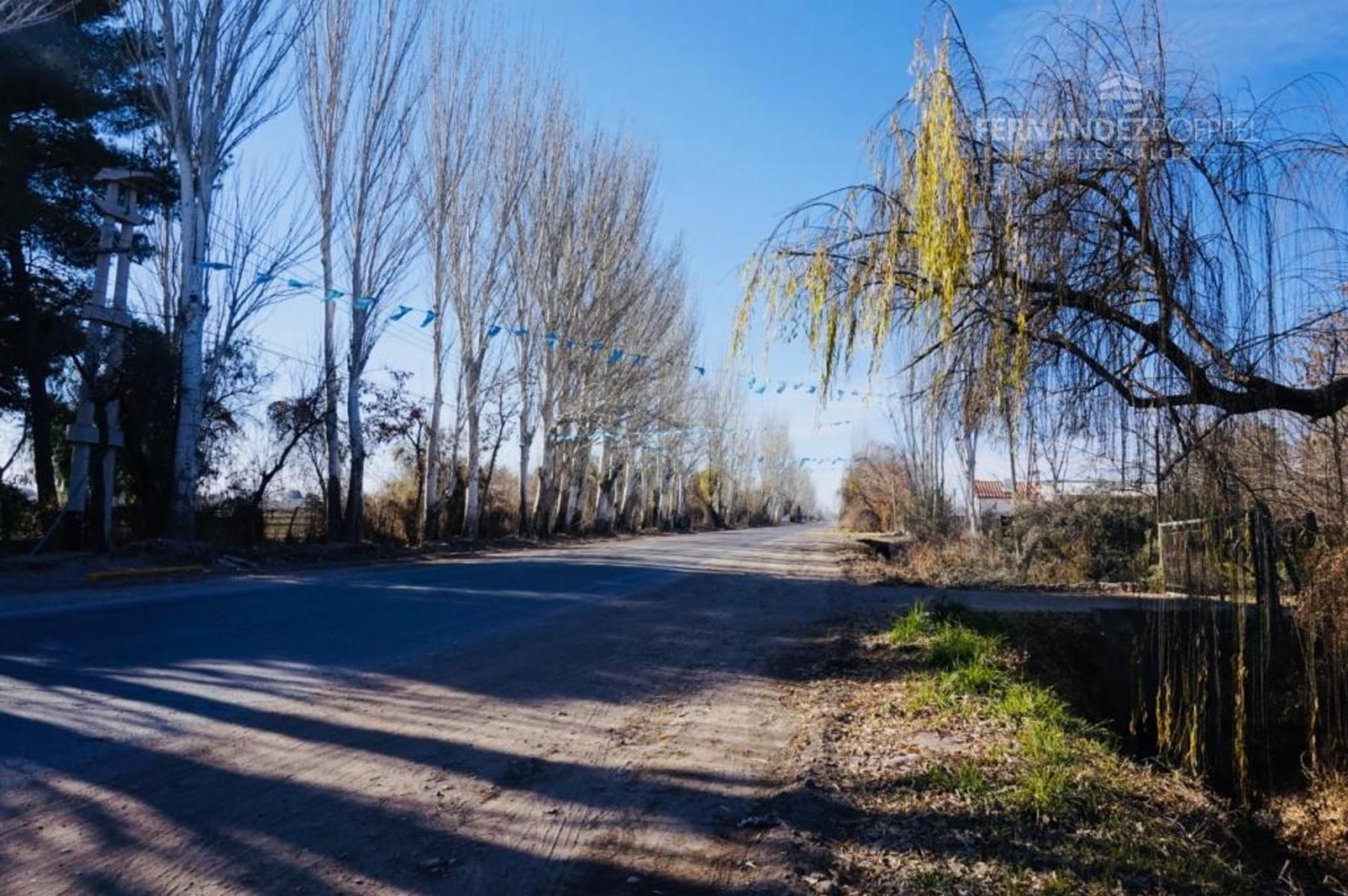 SE VENDE Lote 1700 m2 Fray Luis Beltran — foto 15