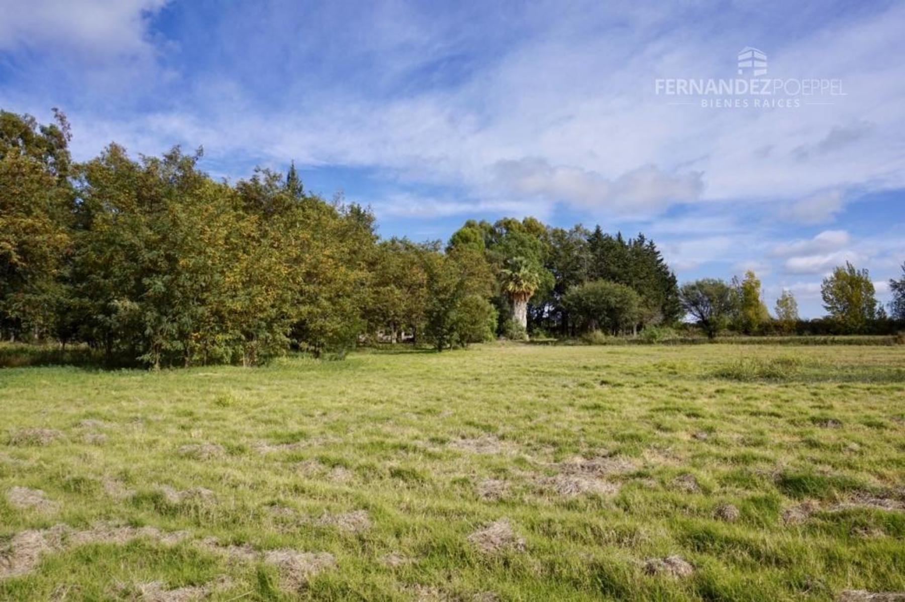 SE VENDE Finca Campo 8,4 Ha Las Catitas Santa Rosa sobre Acceso Este - 1
