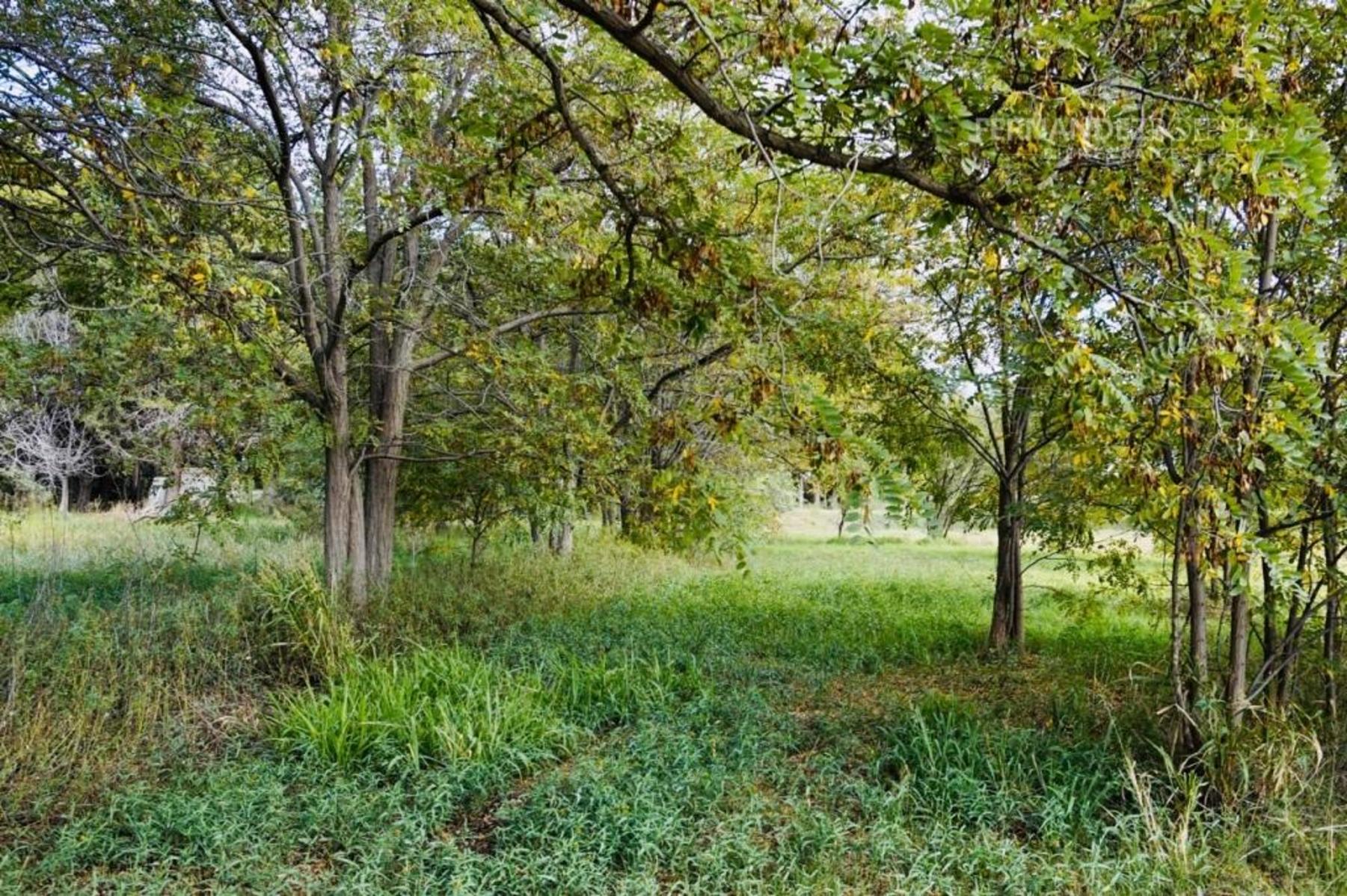 SE VENDE Finca Campo 8,4 Ha Las Catitas Santa Rosa sobre Acceso Este - 12